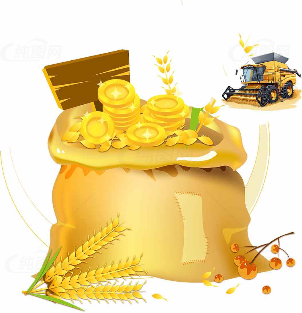 丰收季节的金色麦穗与财富象征素材