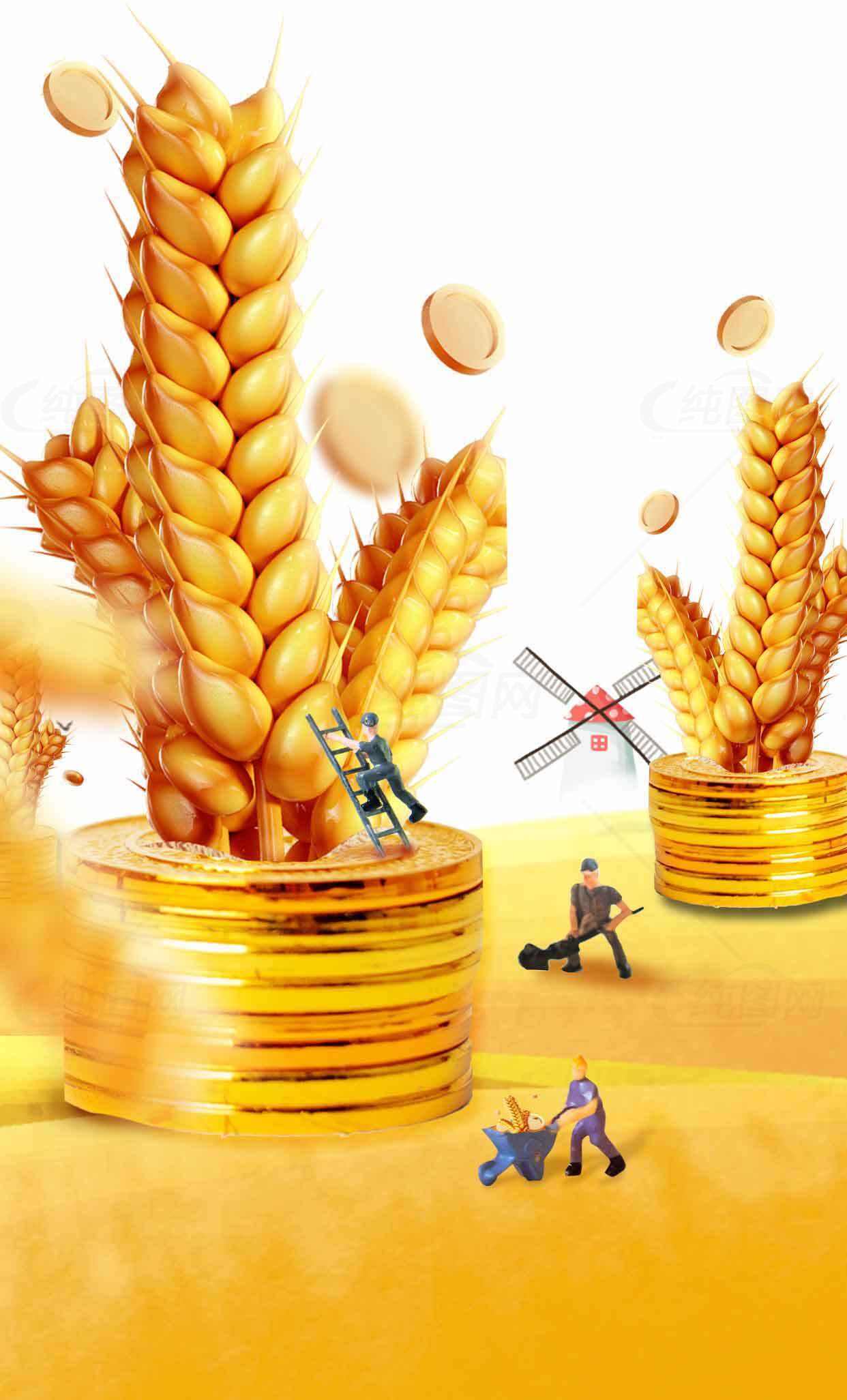 农业与财富的象征：金色麦穗与硬币堆叠素材