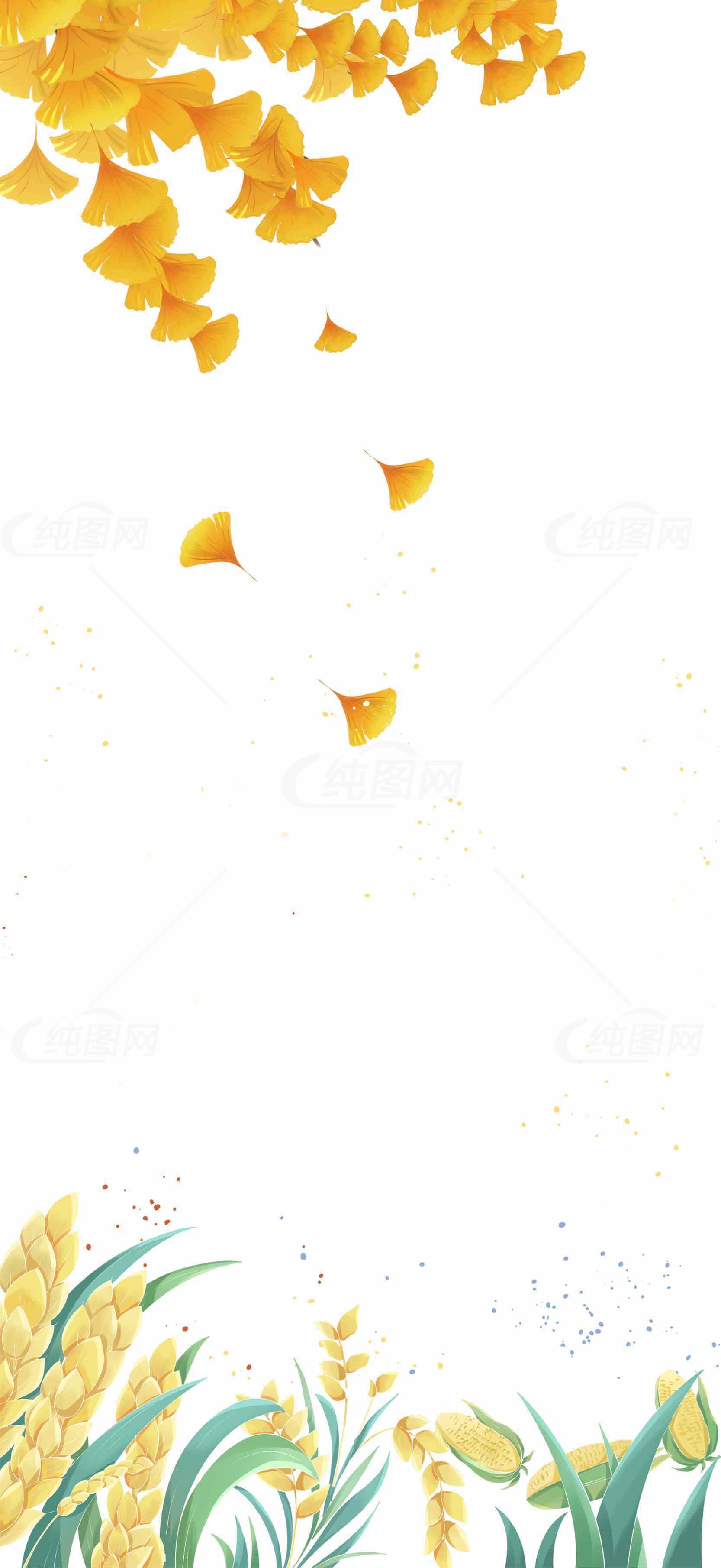 唯美金黄色稻穗与落叶背景图片素材