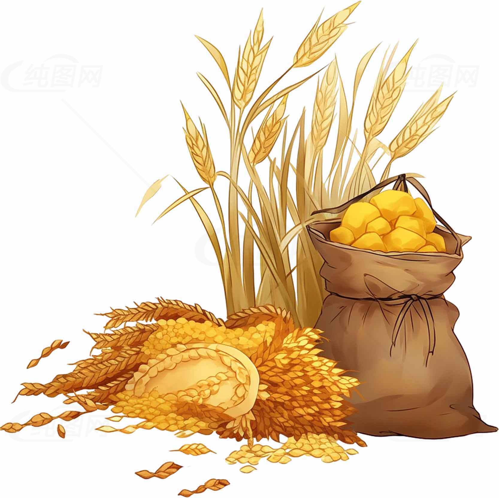 丰收的麦穗与粮食袋插画图片素材