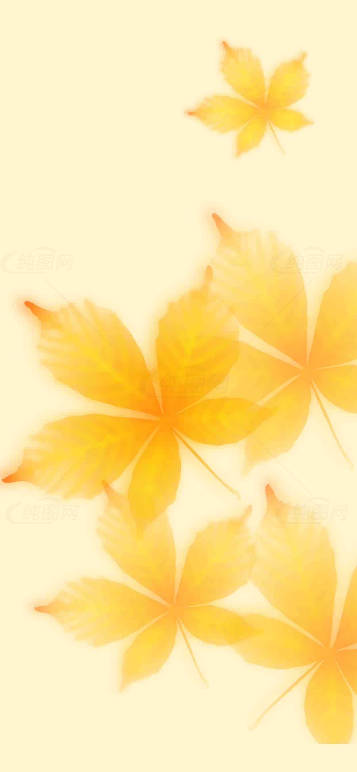 秋季黄色枫叶背景图片素材