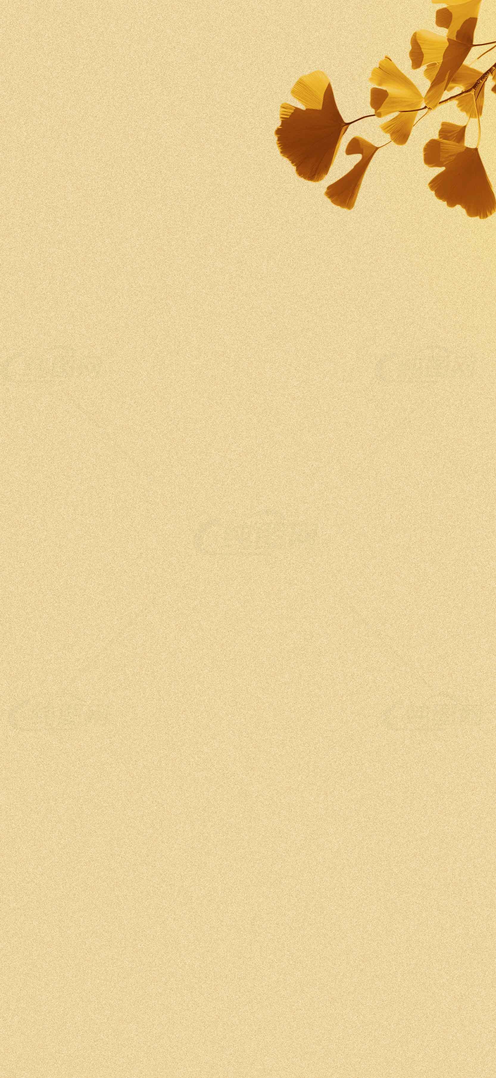 秋季金黄色背景图片素材