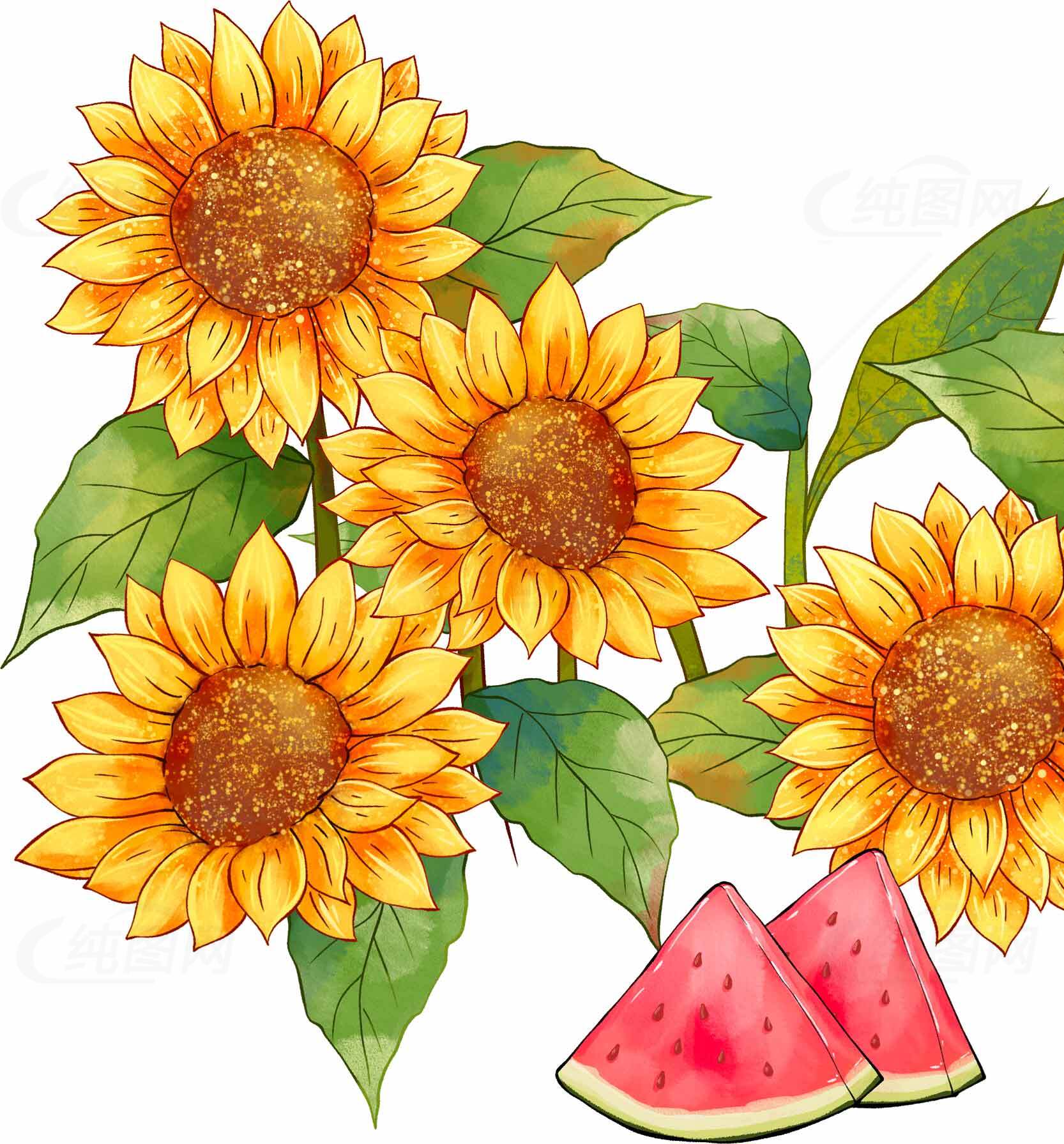 向日葵与西瓜的夏日清新插画素材