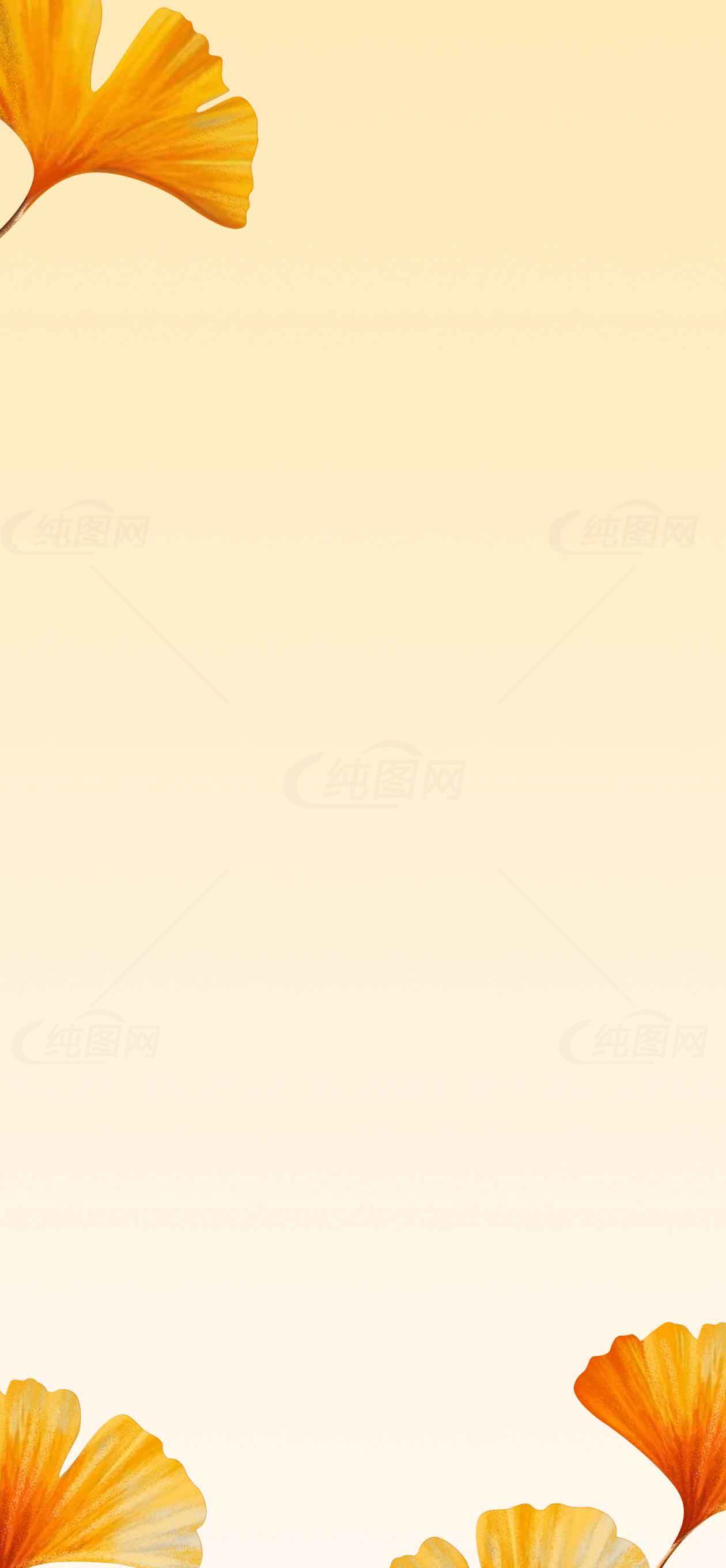 简约唯美的黄色银杏叶背景图片素材