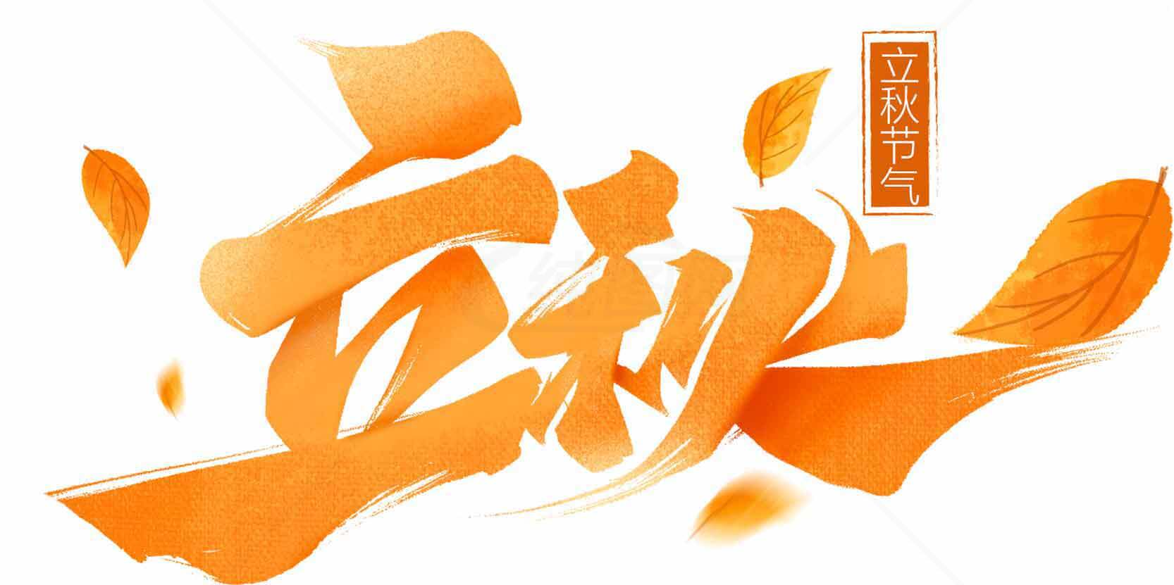 立秋节气橙色主题设计图片素材