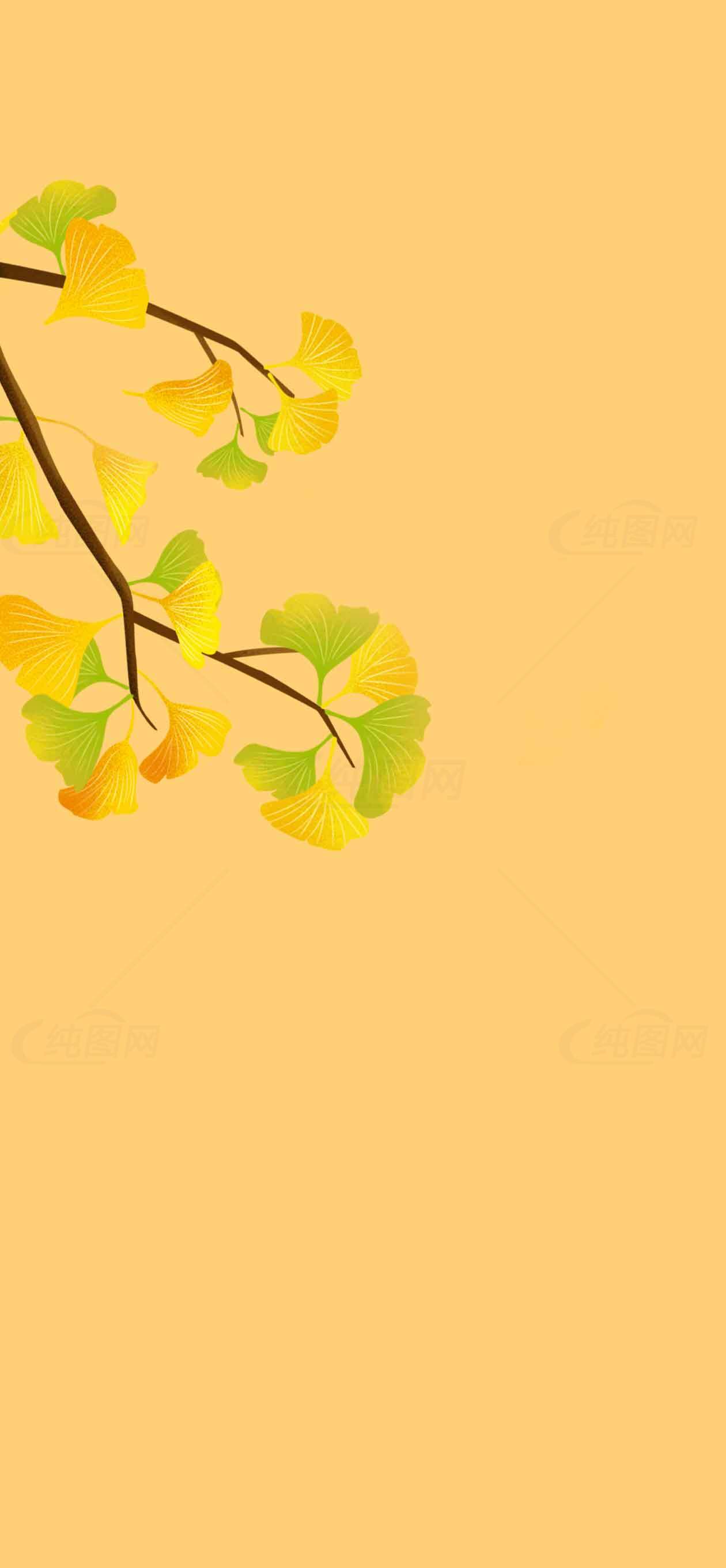 秋季银杏树枝插画背景图片素材
