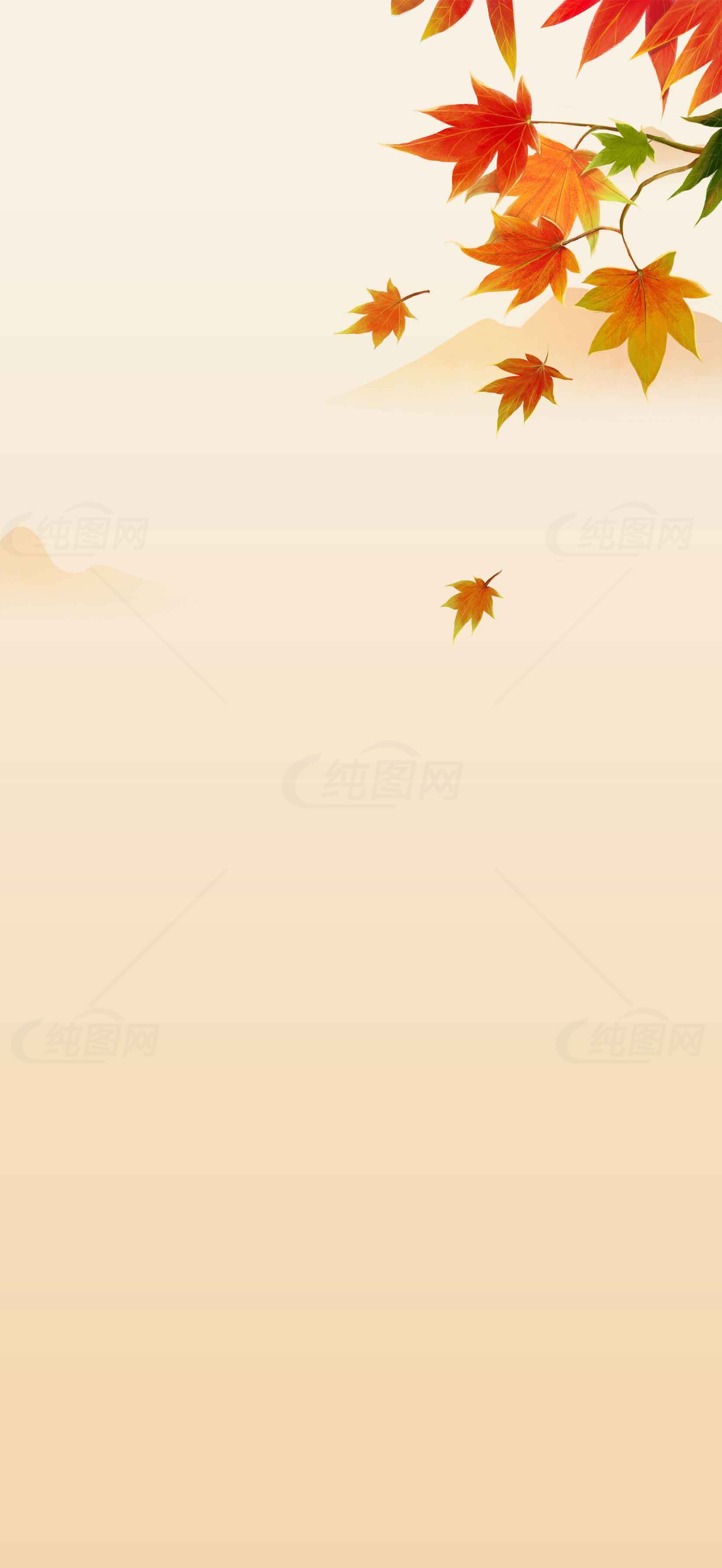 秋季枫叶背景图片唯美设计素材