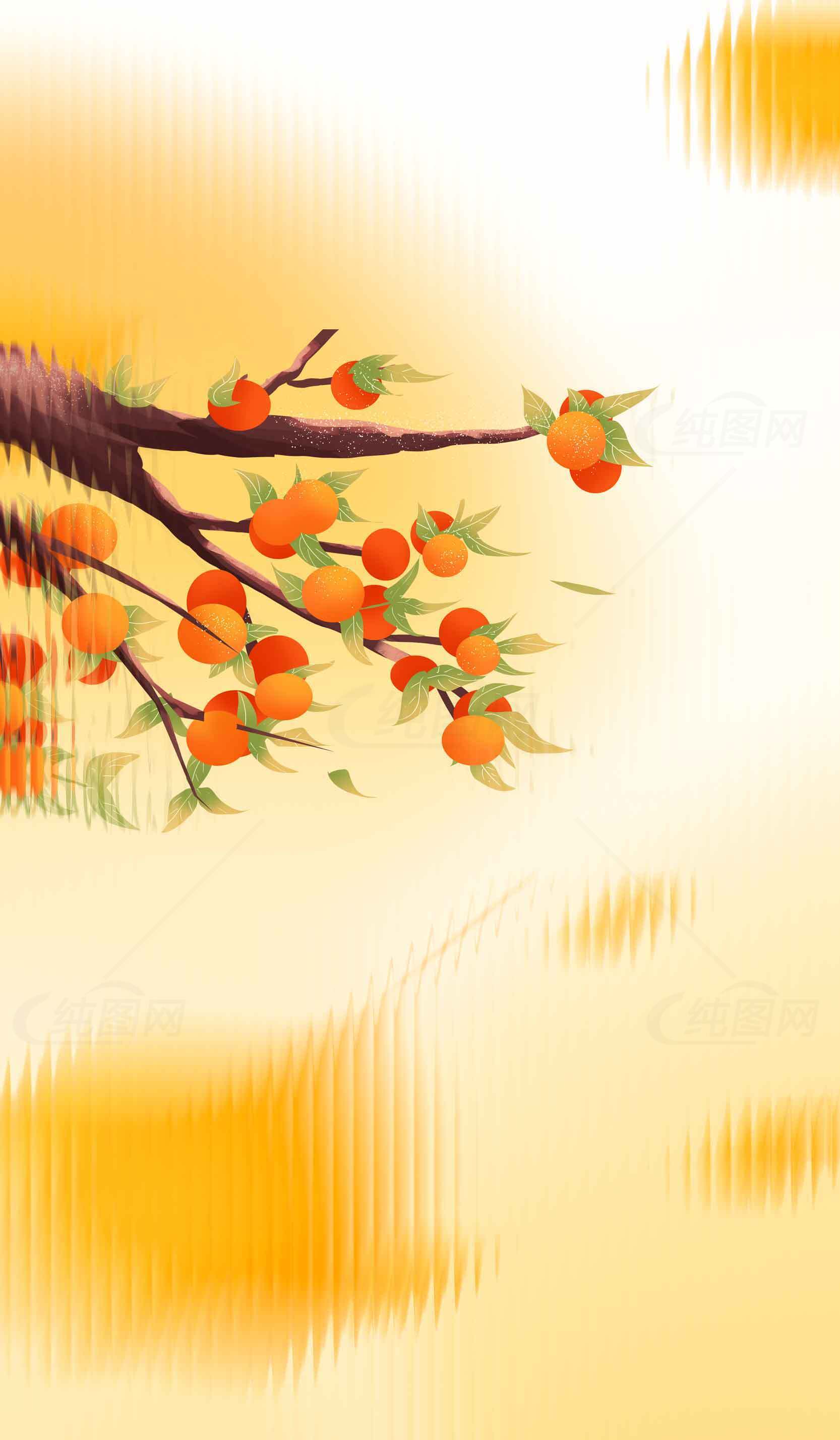 秋季柿子树插画背景图片素材