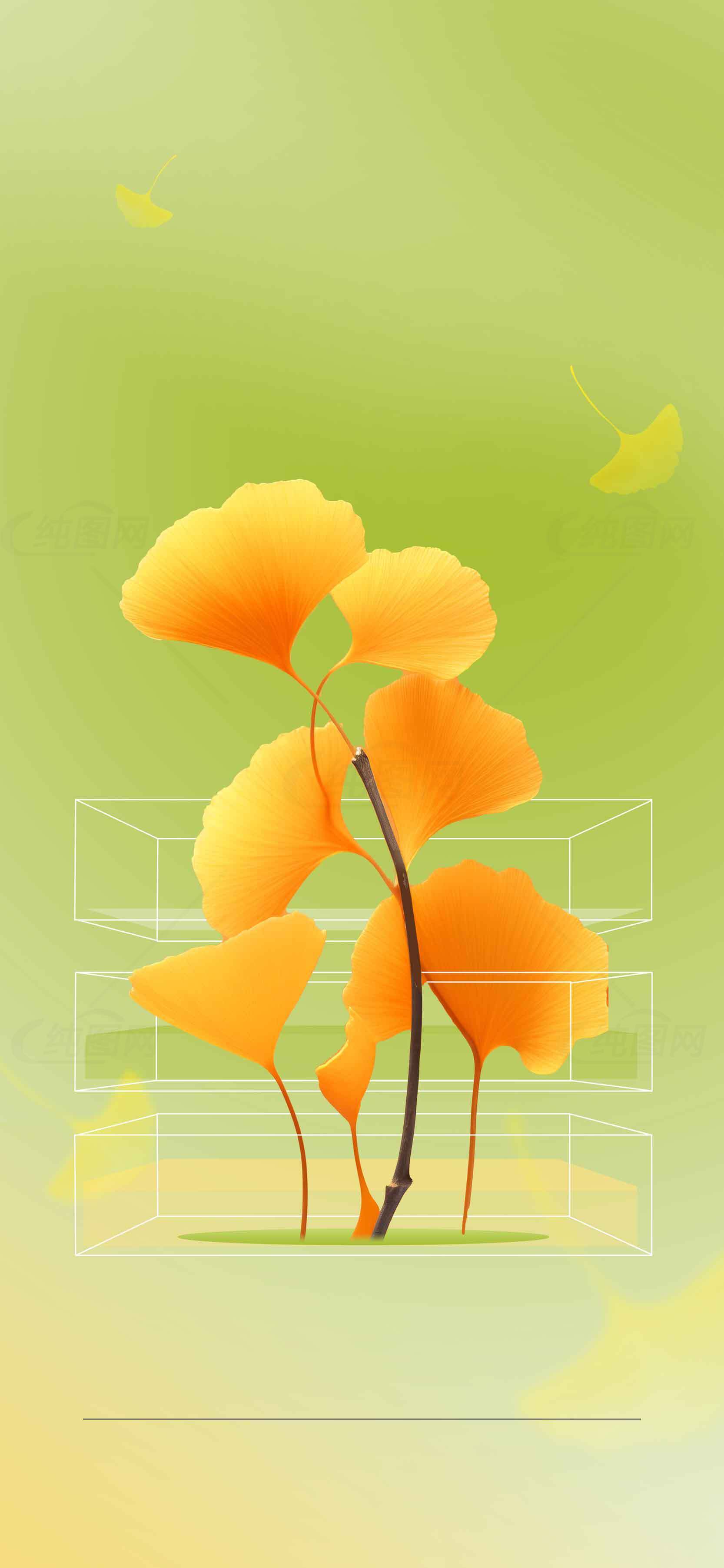 秋季银杏叶插画背景图片素材