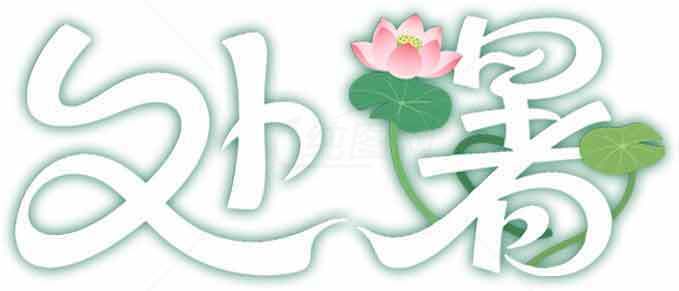 处暑节气荷花主题图片素材