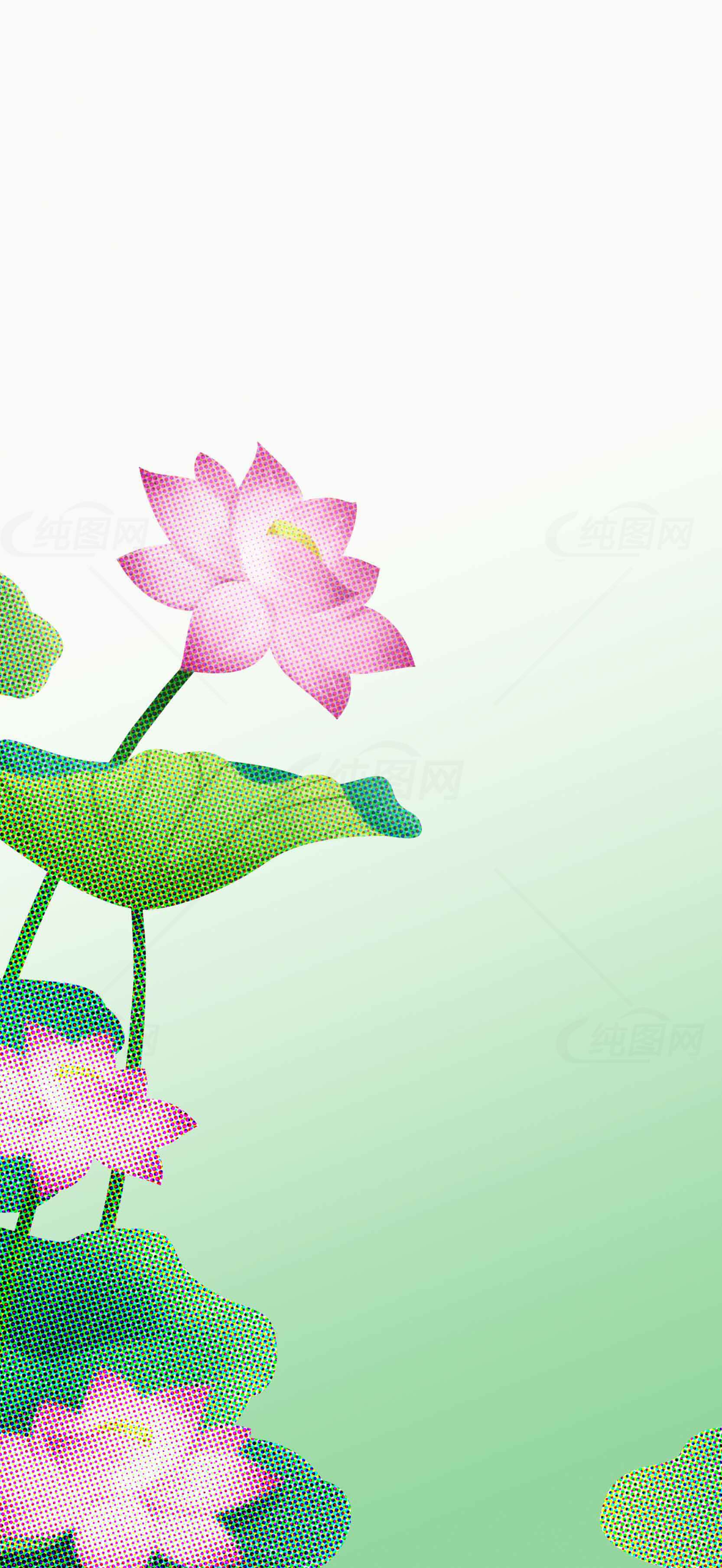 清新荷花背景图片素材