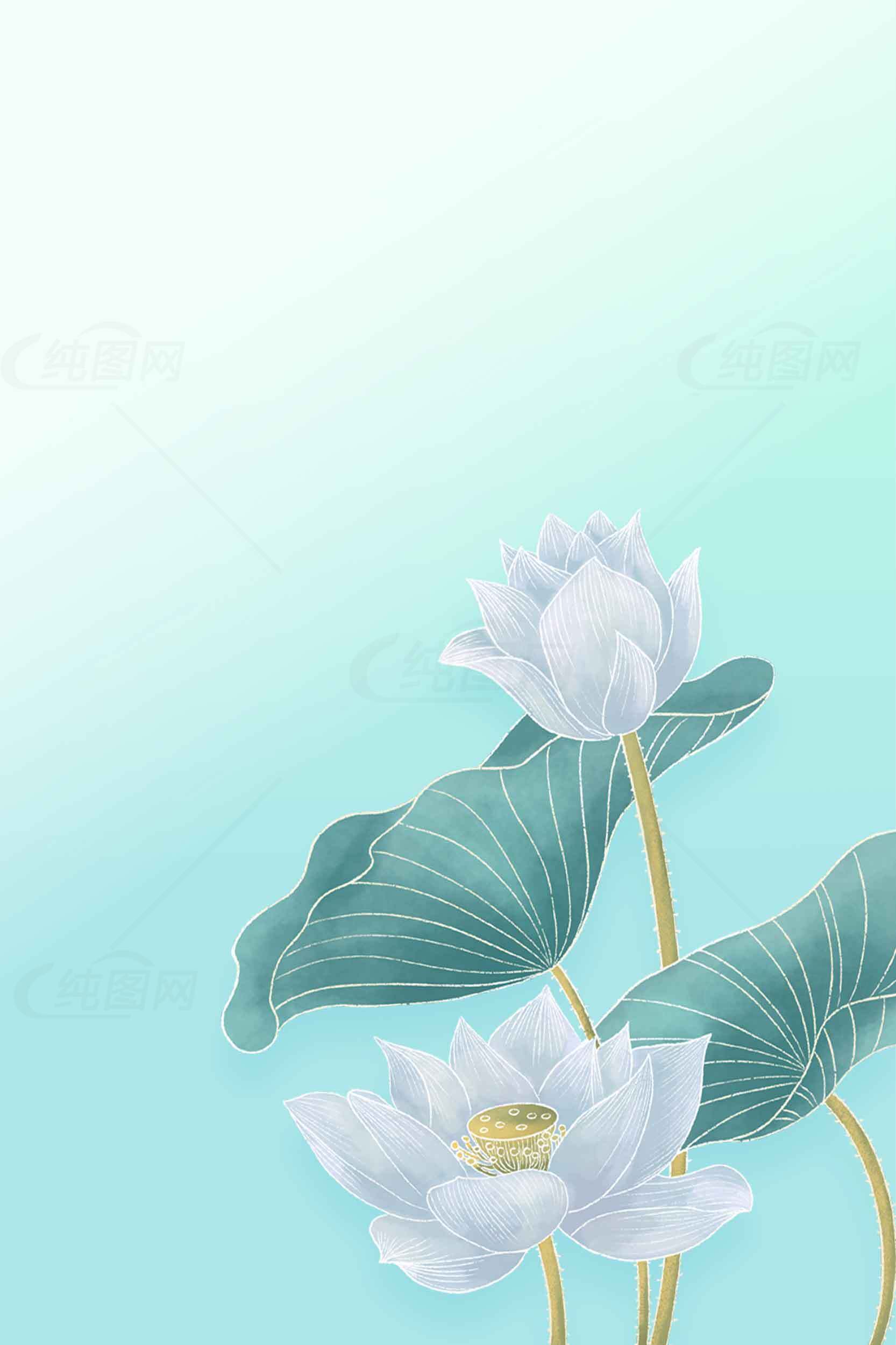 清新唯美荷花背景图片素材