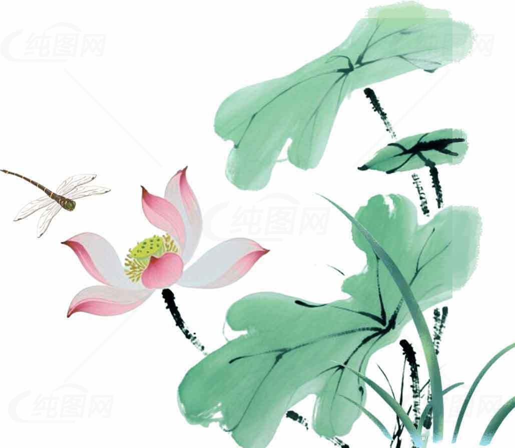 中国风荷花与蜻蜓水墨画图片素材