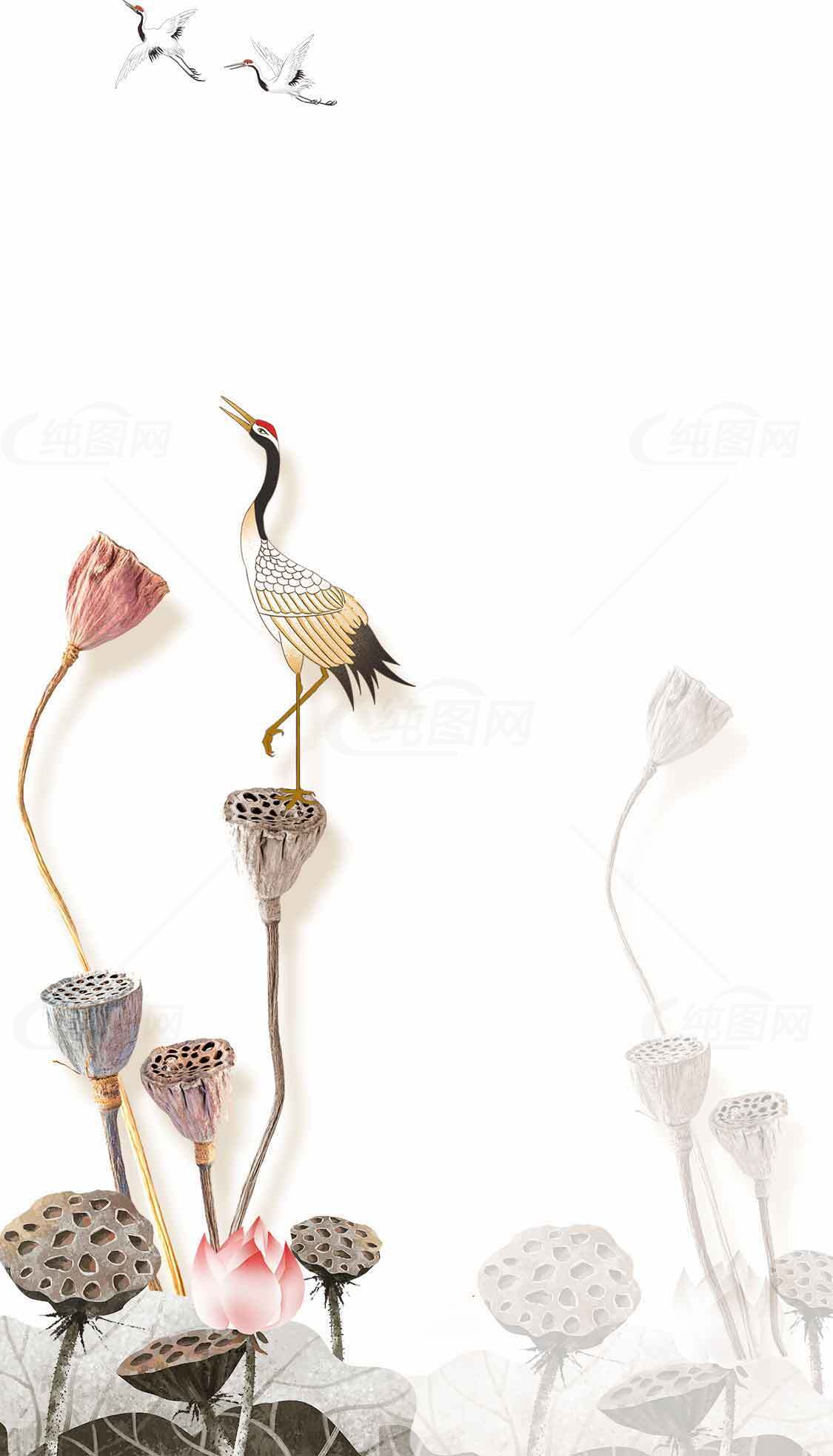 唯美中式丹顶鹤与荷花意境插画图片素材