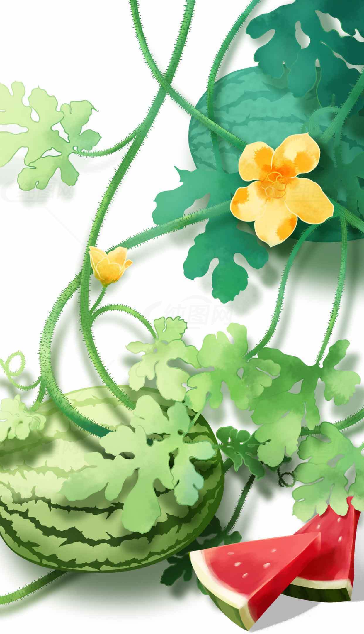 清凉夏日西瓜主题插画设计素材
