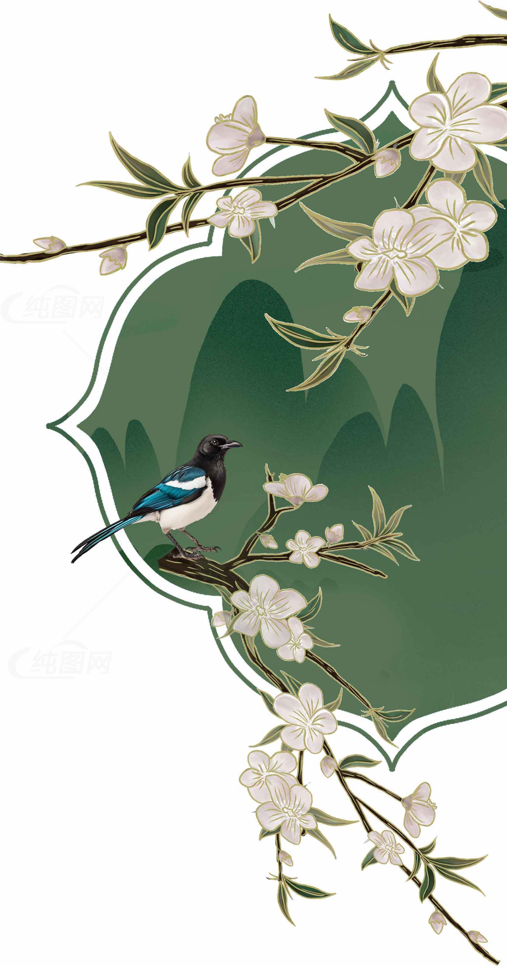 唯美花鸟插画设计：绿色背景与白色花朵素材