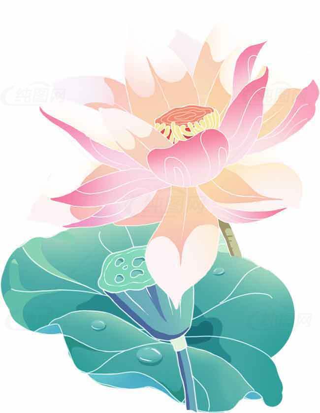 唯美手绘荷花图片素材
