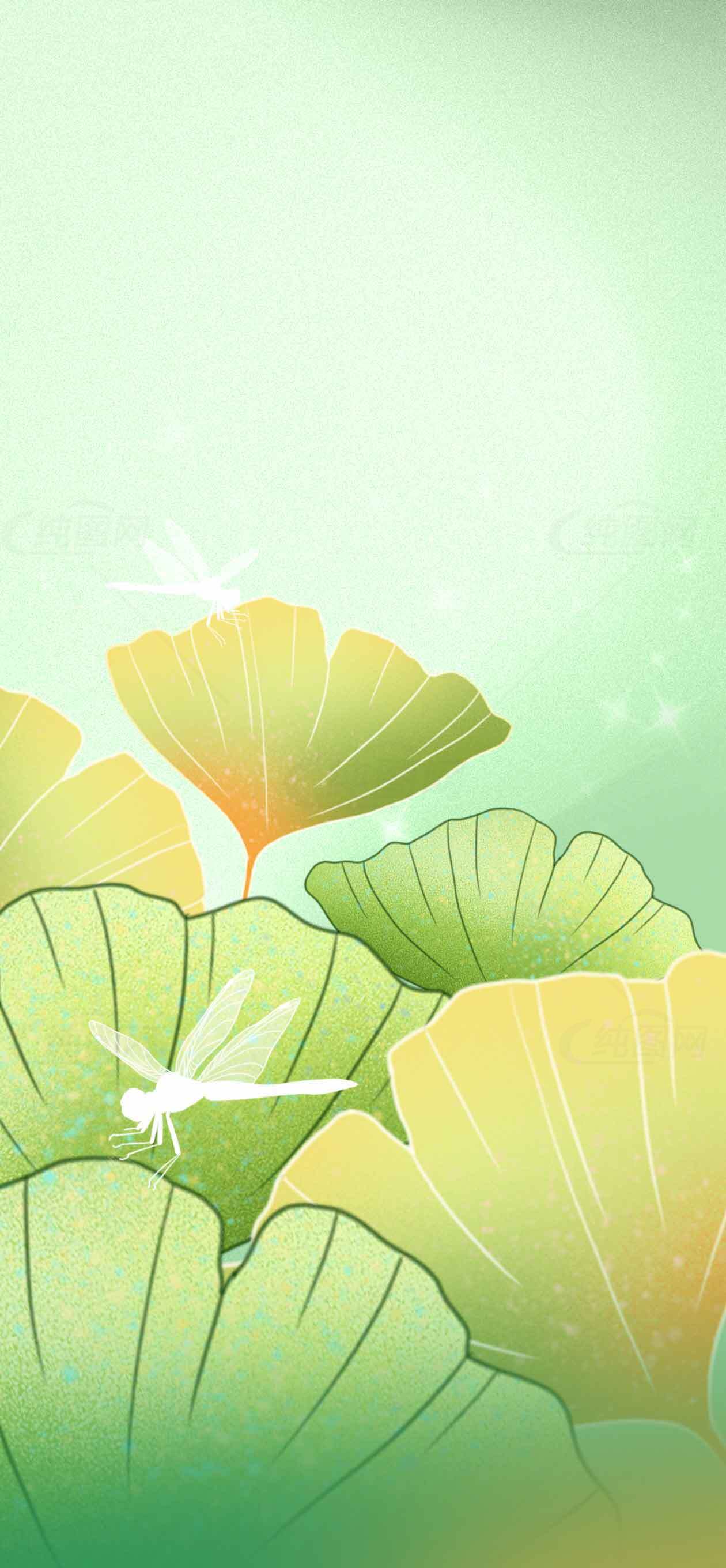 清新自然的荷叶与蜻蜓插画背景图片素材