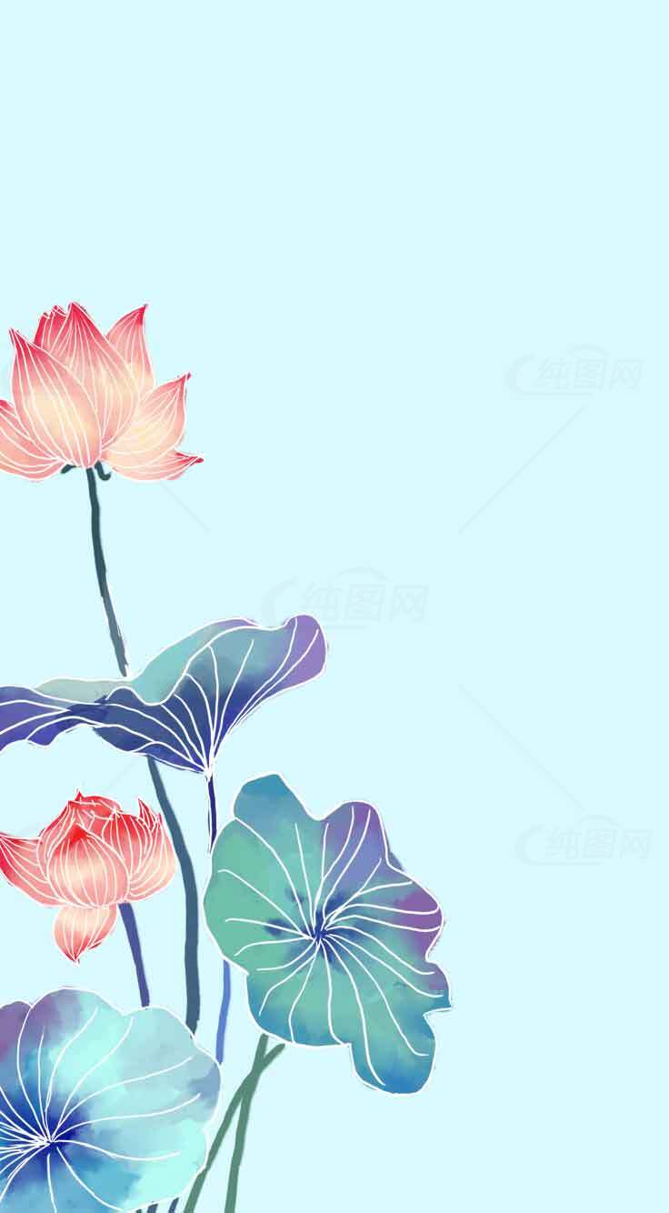 唯美荷花背景插画图片素材