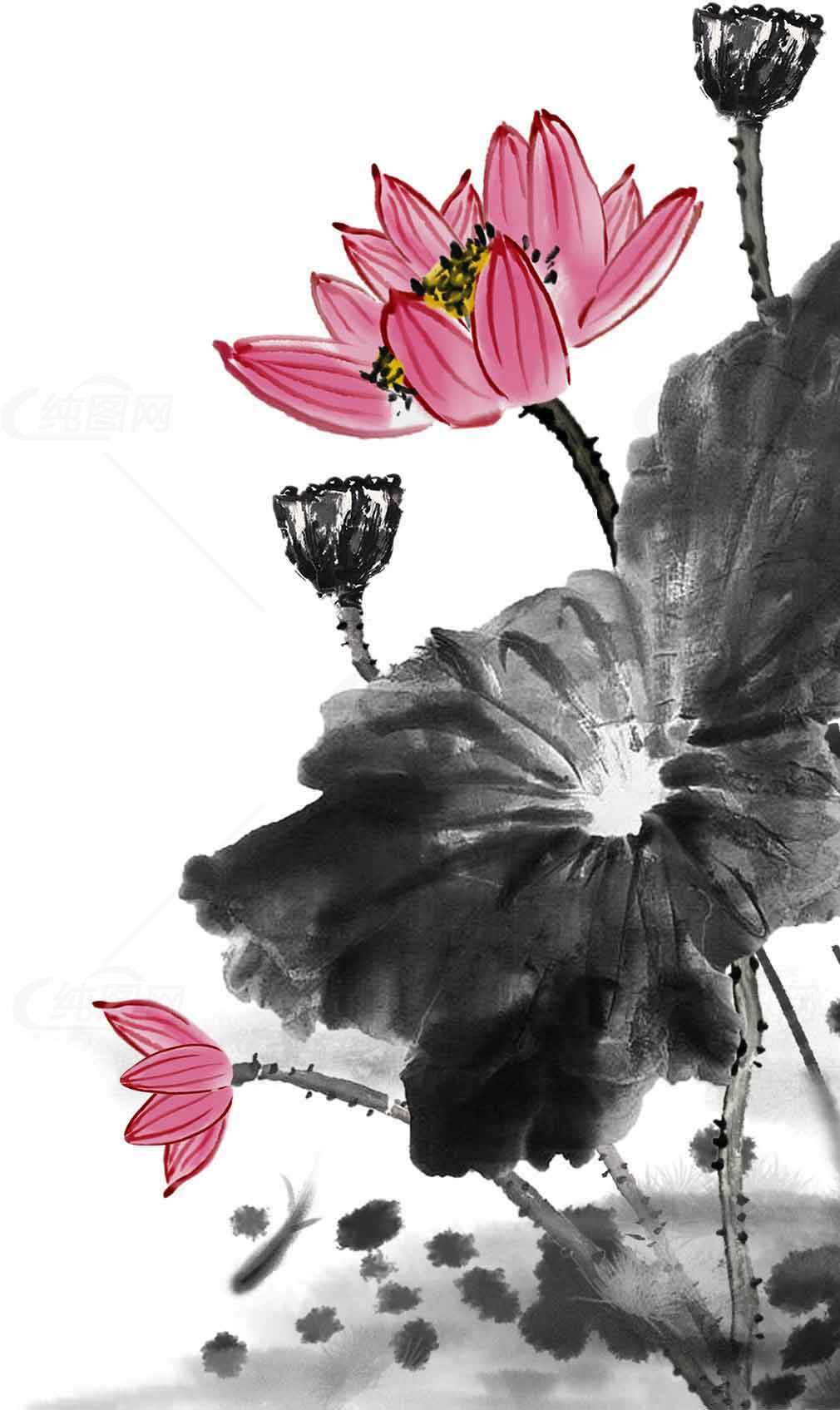 中国水墨画荷花图片高清赏析素材