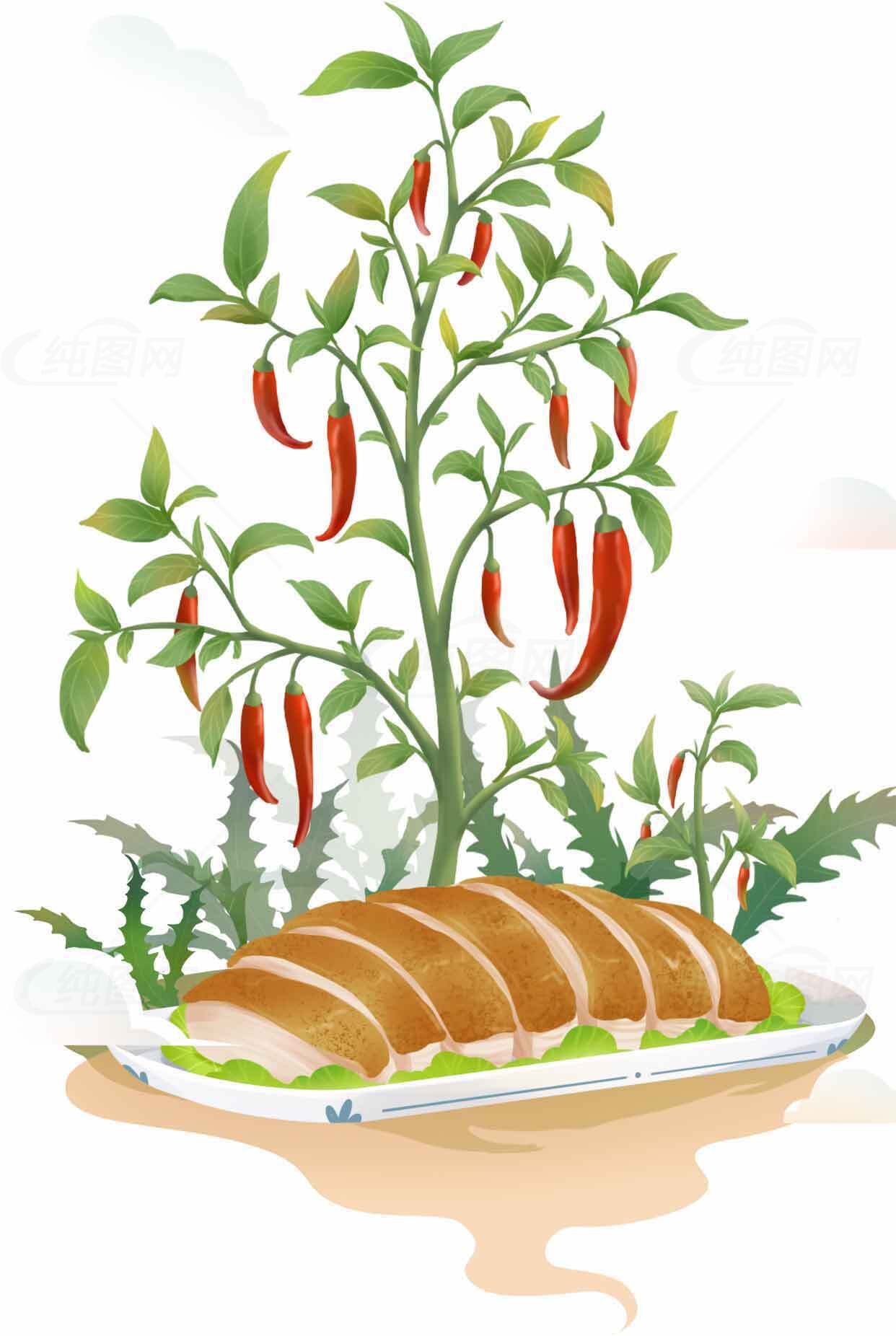 辣椒与烤肉的美味搭配插画素材