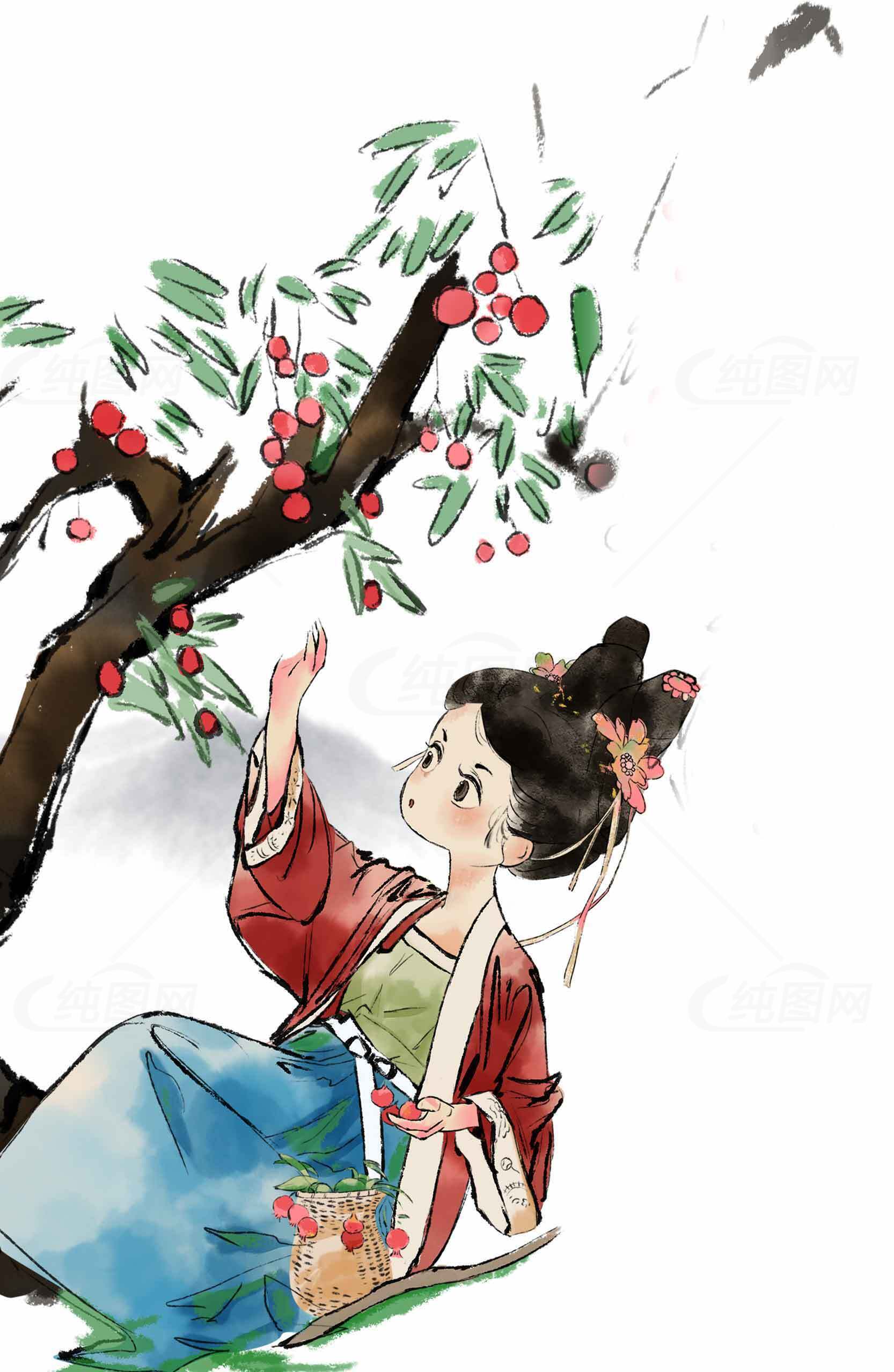 古风插画：采摘红果的女子与自然意境素材