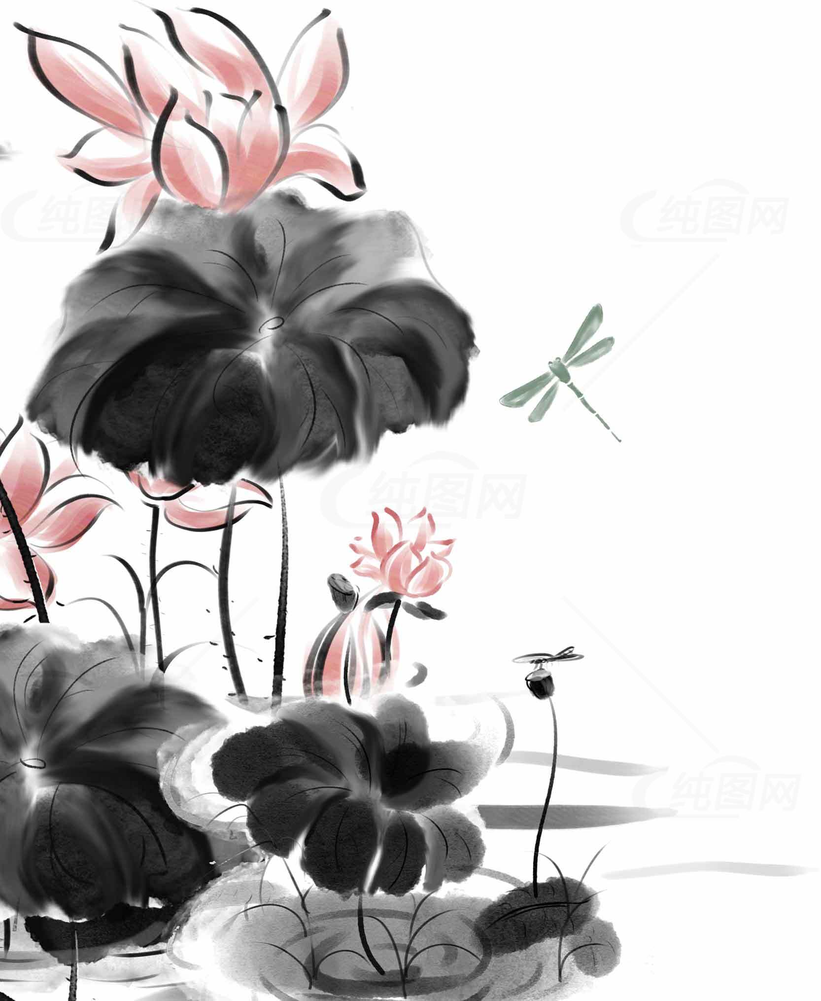 中国风水墨荷花与蜻蜓意境画素材