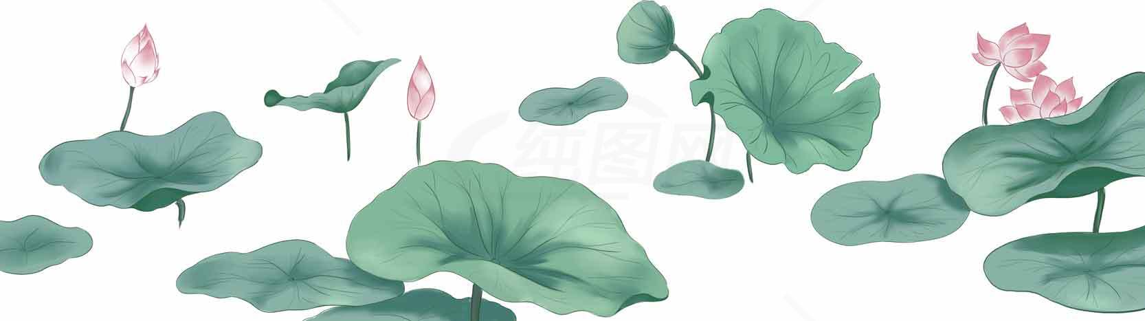 清新水墨荷花背景图片素材