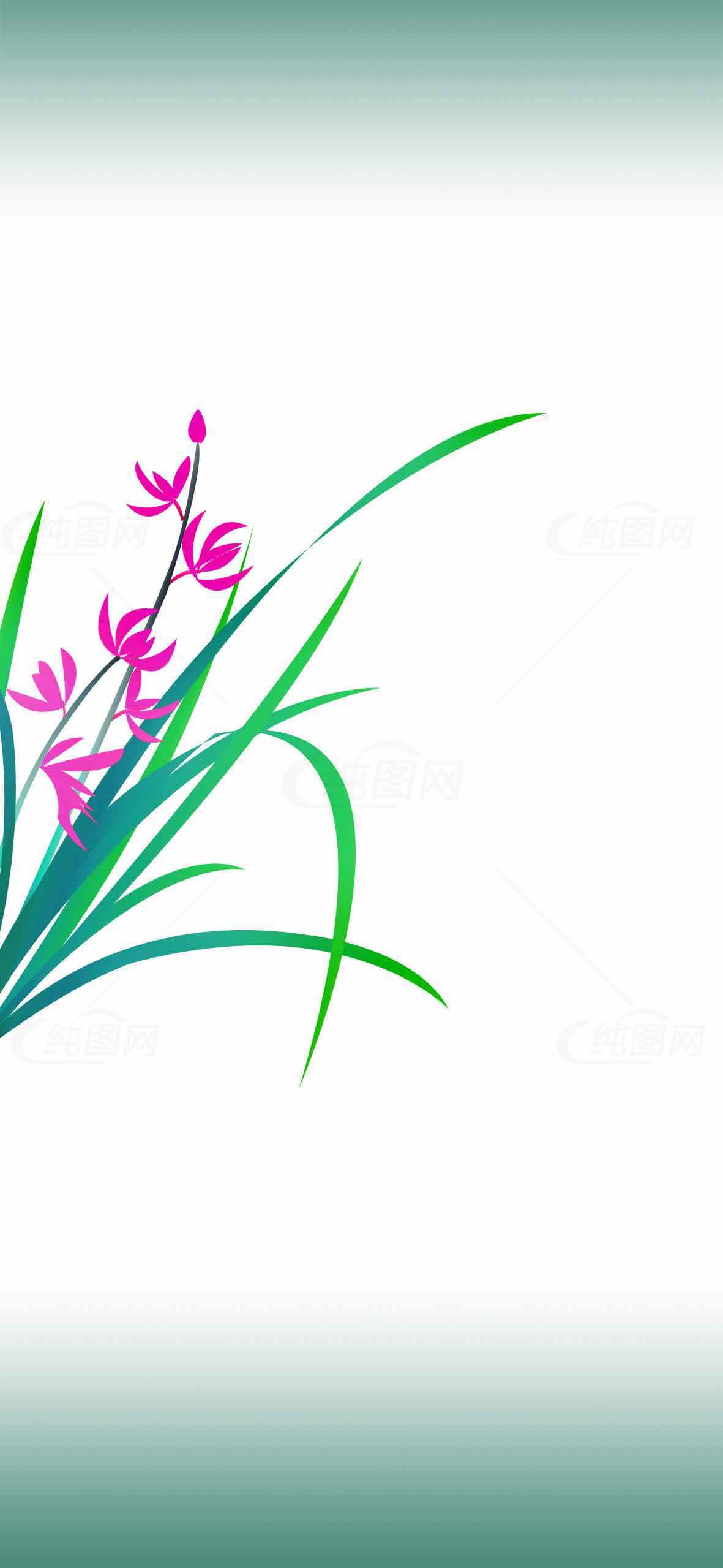 简约兰花插画背景图片素材