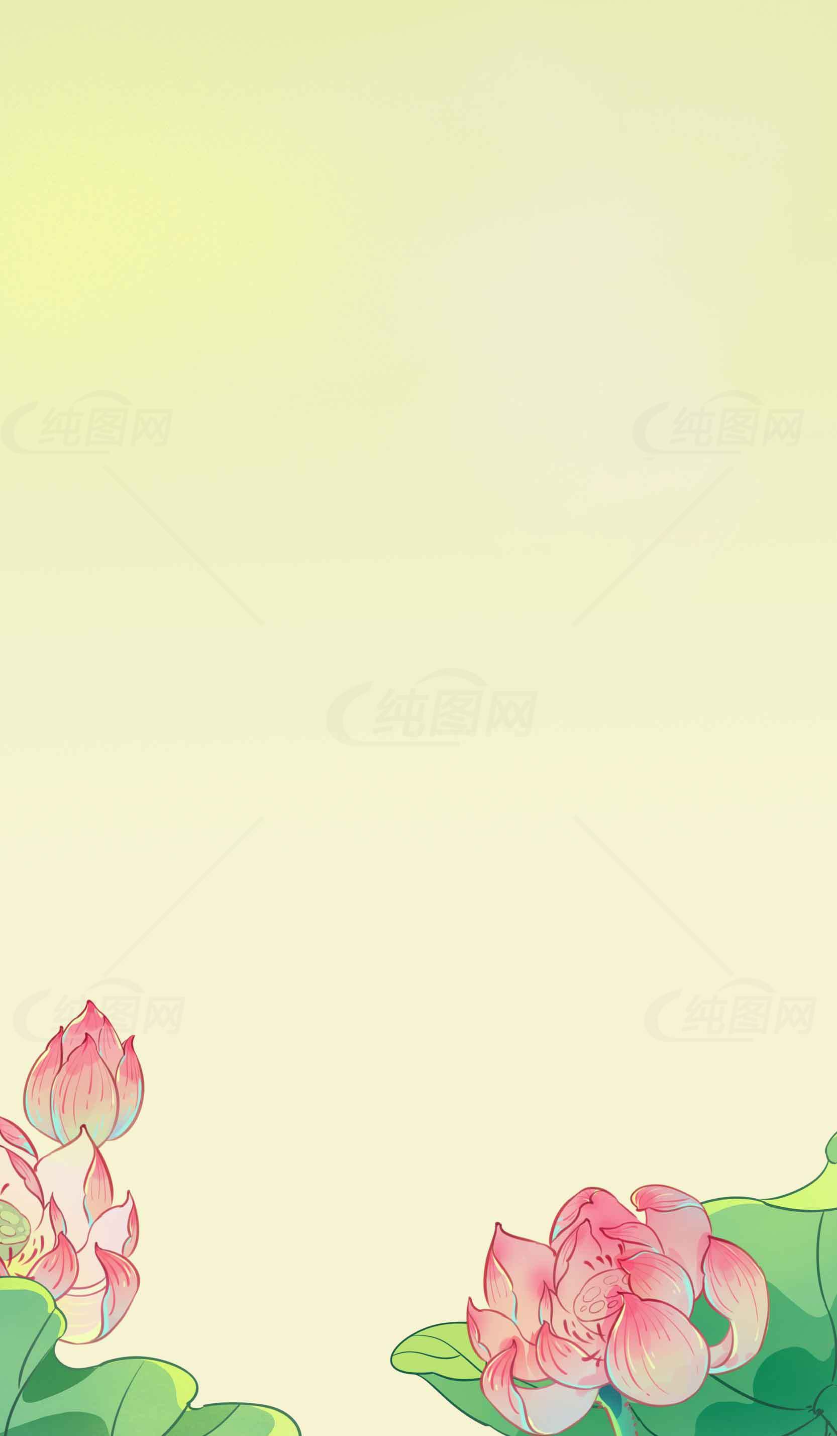 清新荷花背景图片素材
