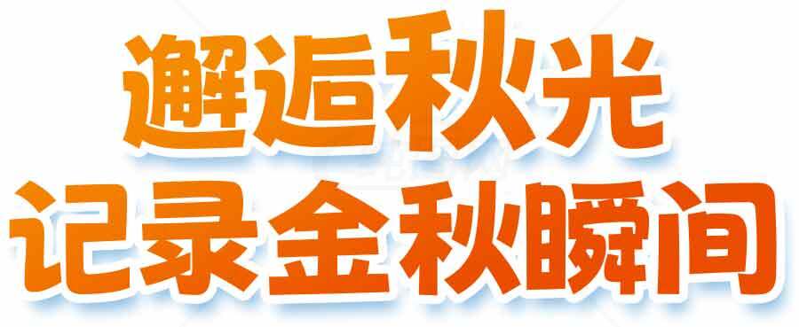 邂逅秋光记录金秋瞬间素材