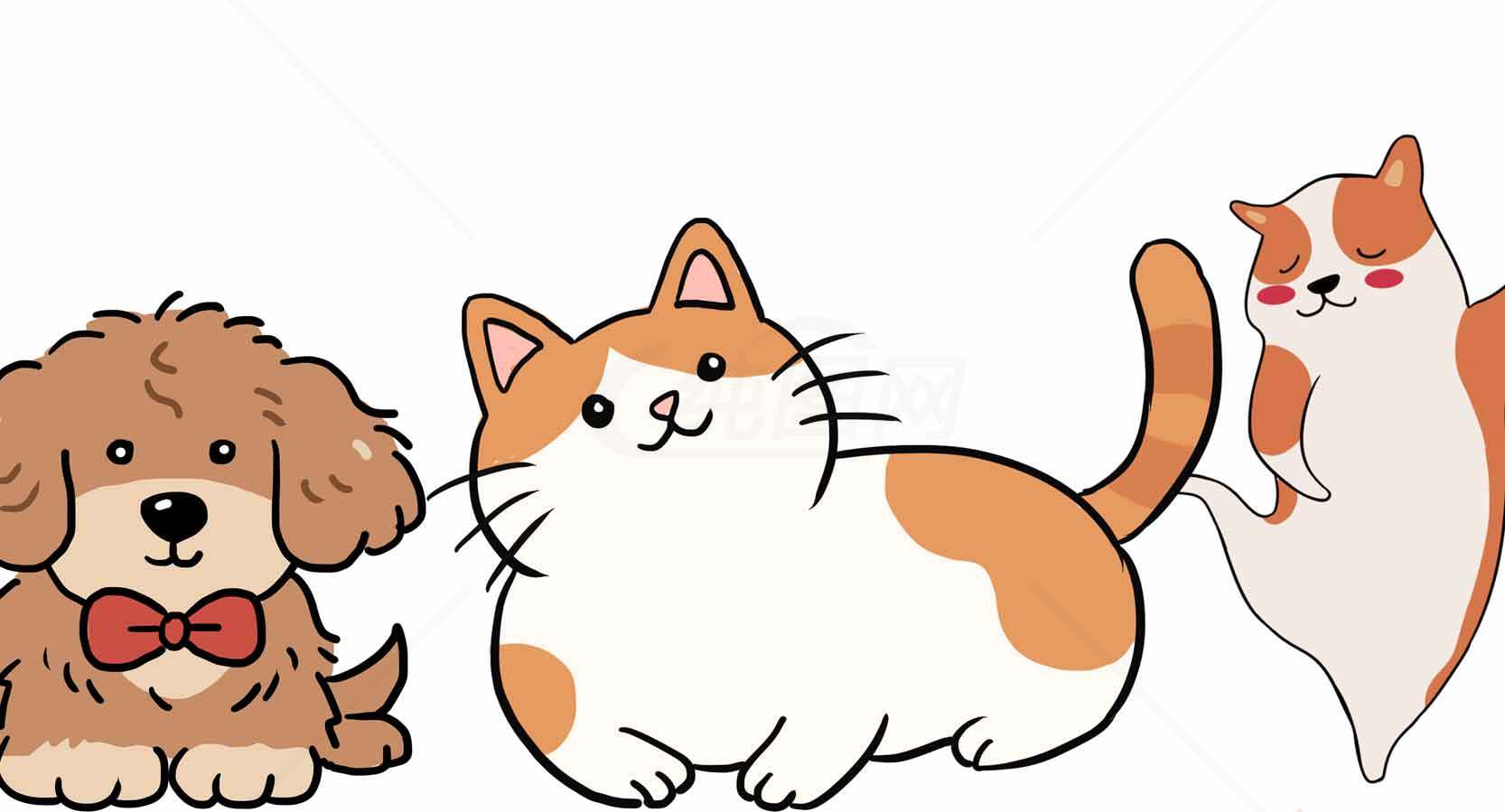 可爱宠物插画：狗狗与橘猫的卡通形象素材