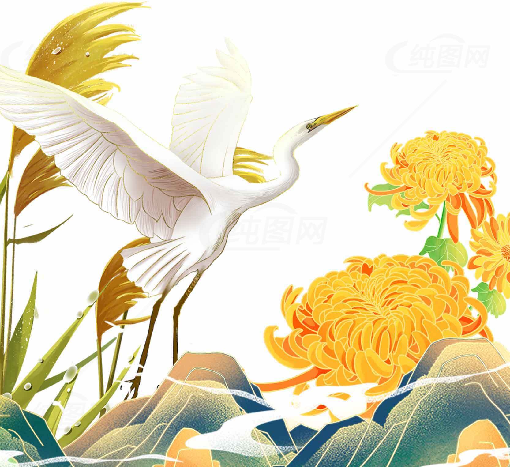 唯美国风白鹭与菊花插画设计素材