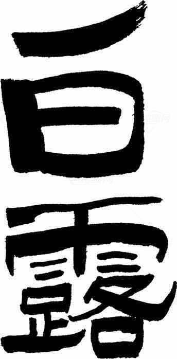 白露节气黑白水墨艺术设计素材