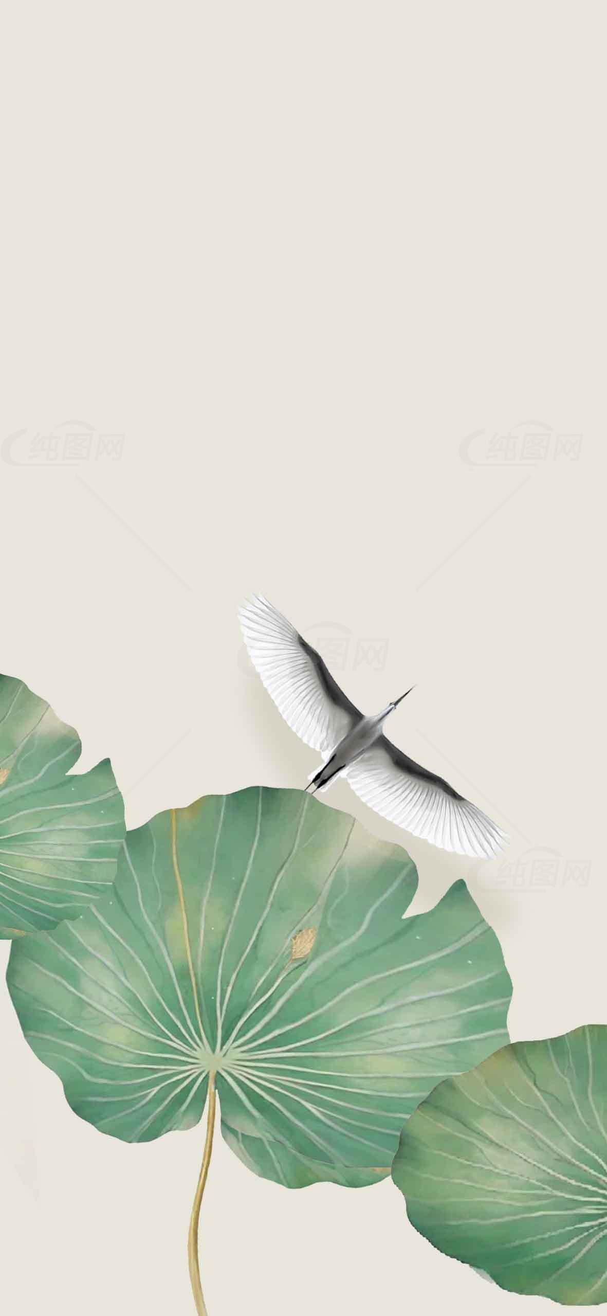 唯美荷叶与白鹭背景图片素材