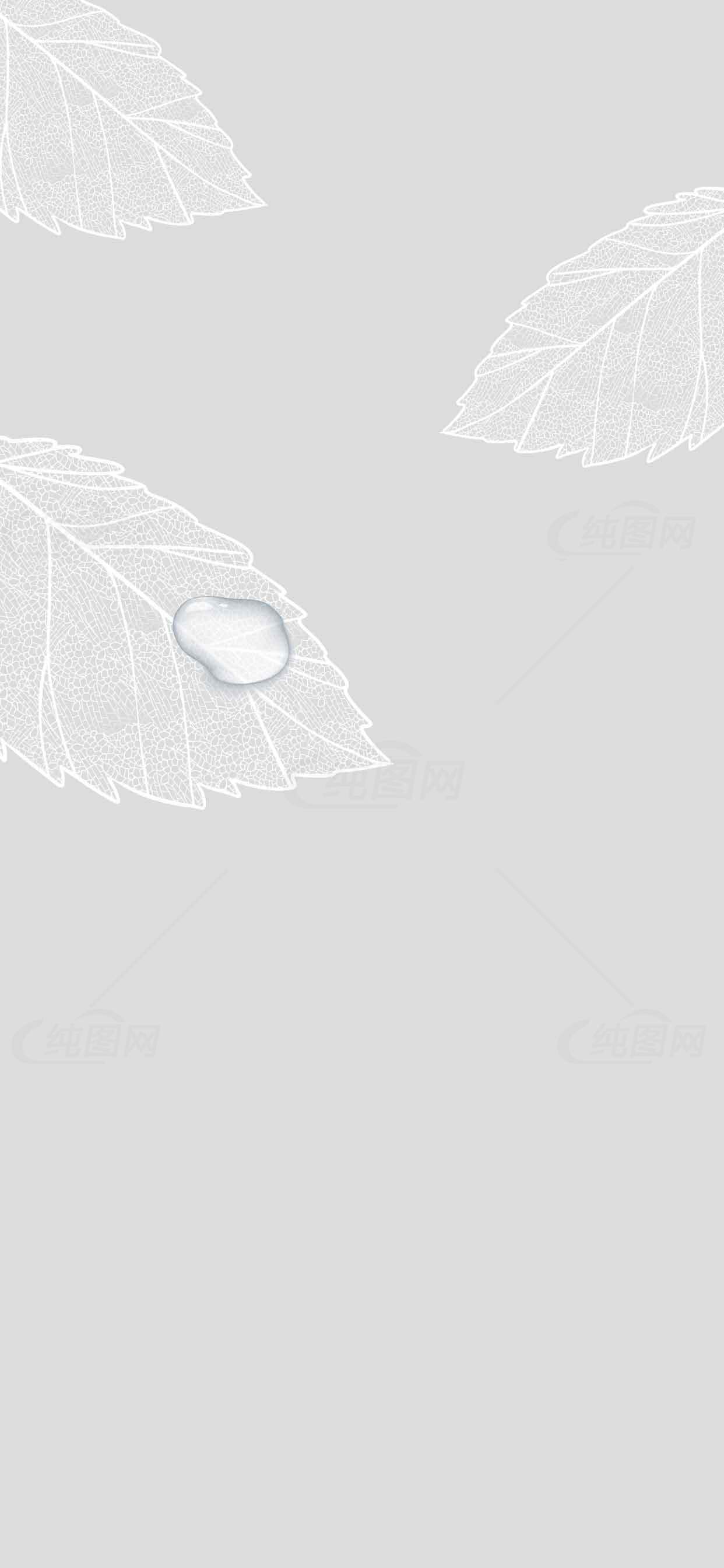 简约白色叶子背景图片素材