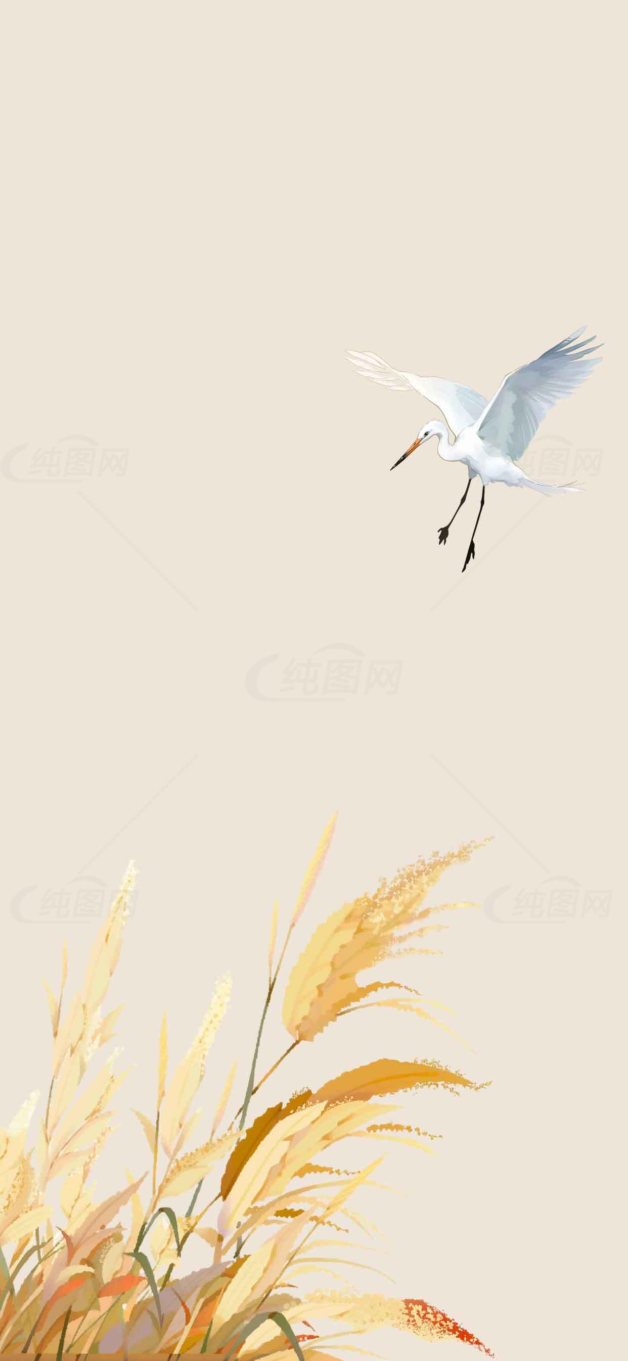 秋日芦苇与白鹭唯美插画背景图片素材