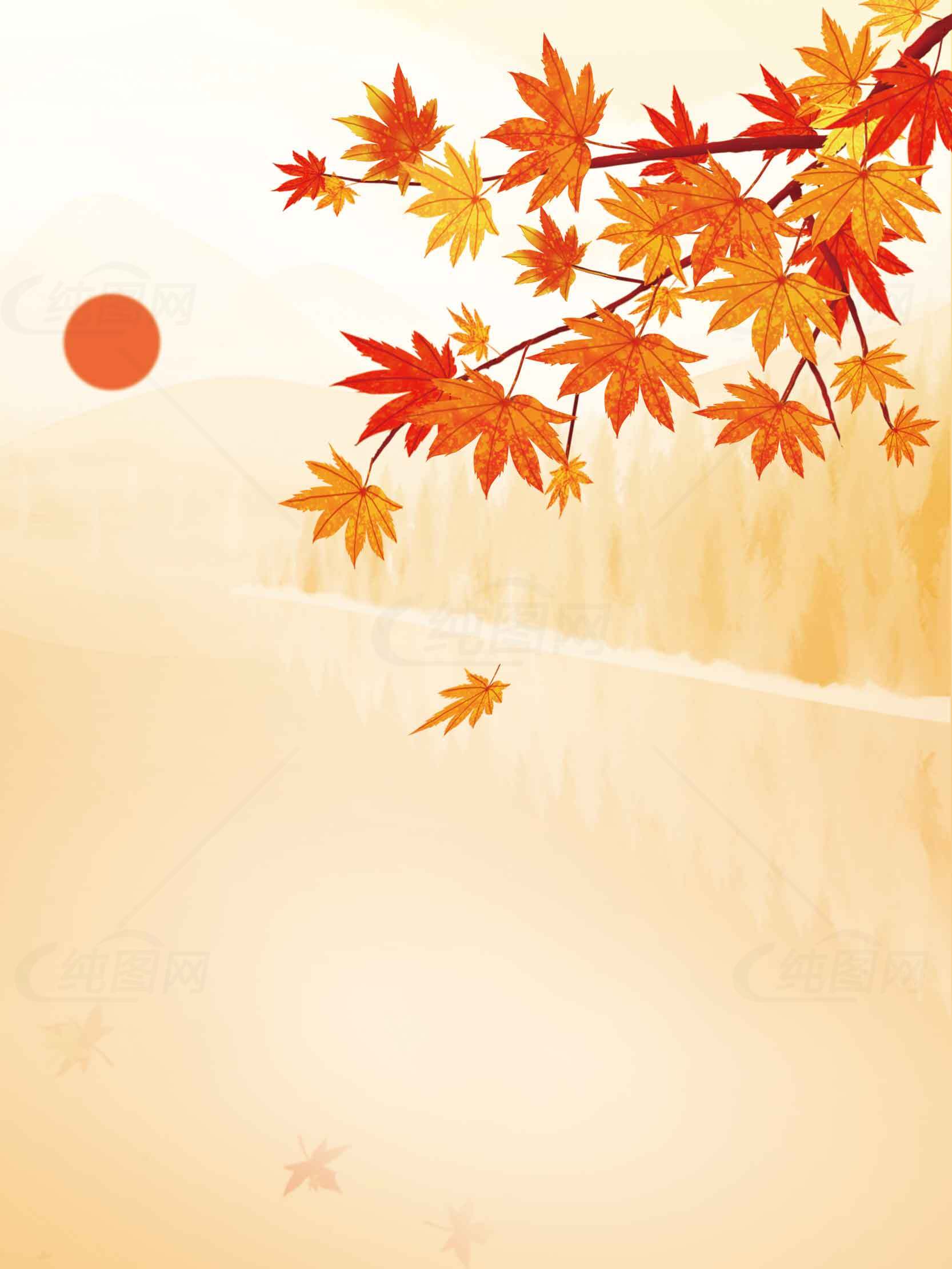 秋日枫叶与夕阳唯美意境背景图片素材