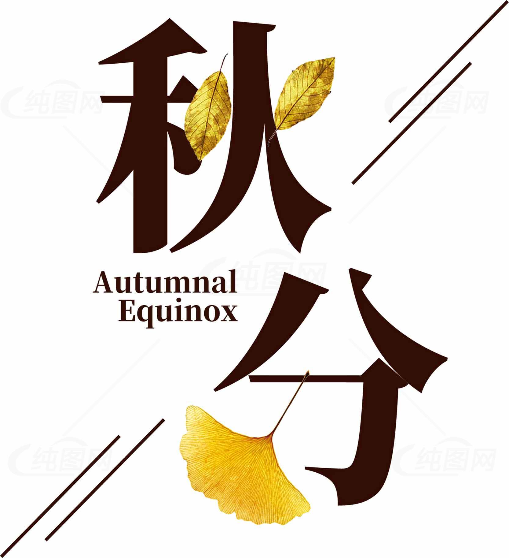 秋分节气秋季设计图片素材