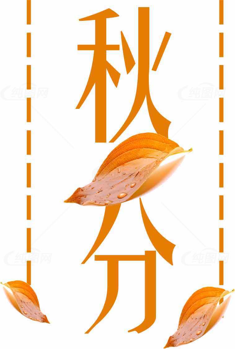 秋分节气创意海报设计模板素材