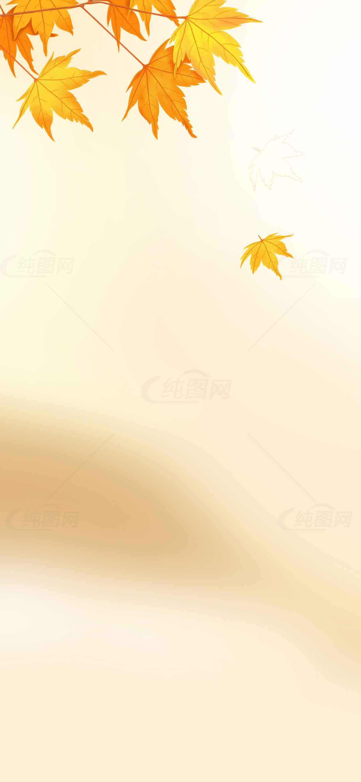 秋季枫叶主题背景高清图片素材