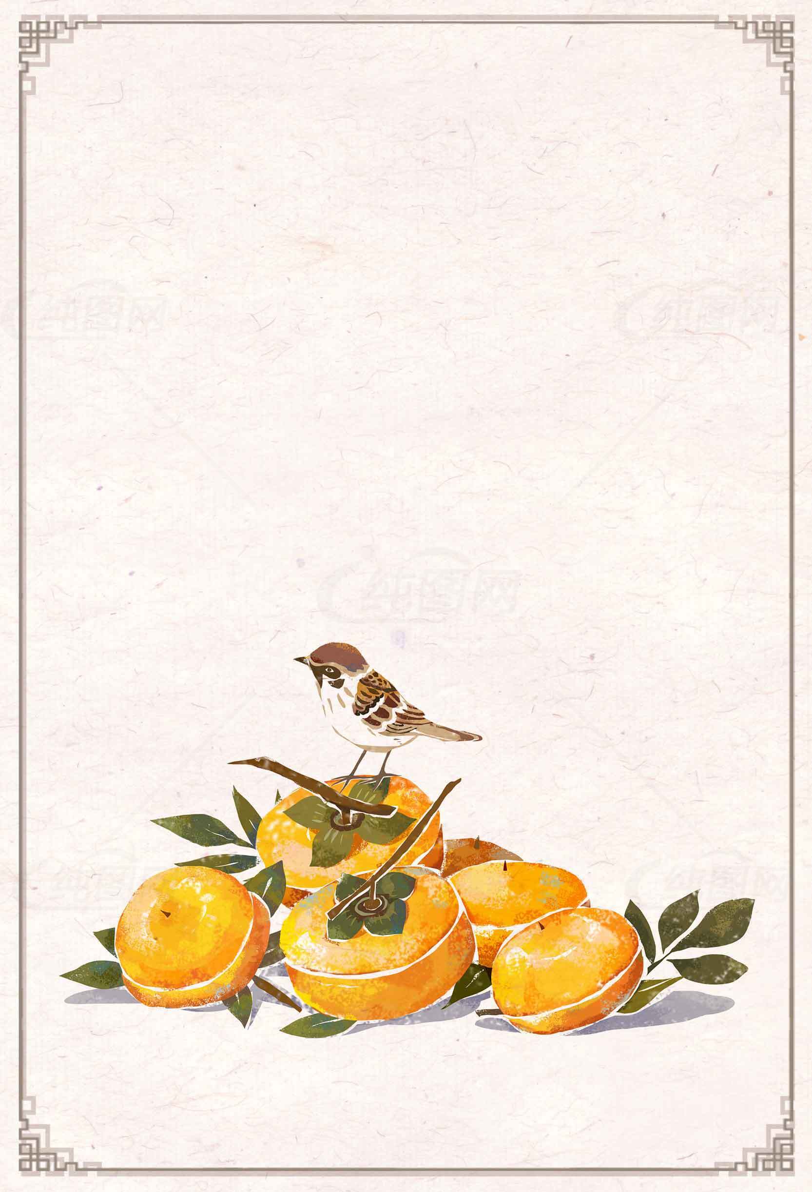 手绘麻雀与橙子插画图片素材