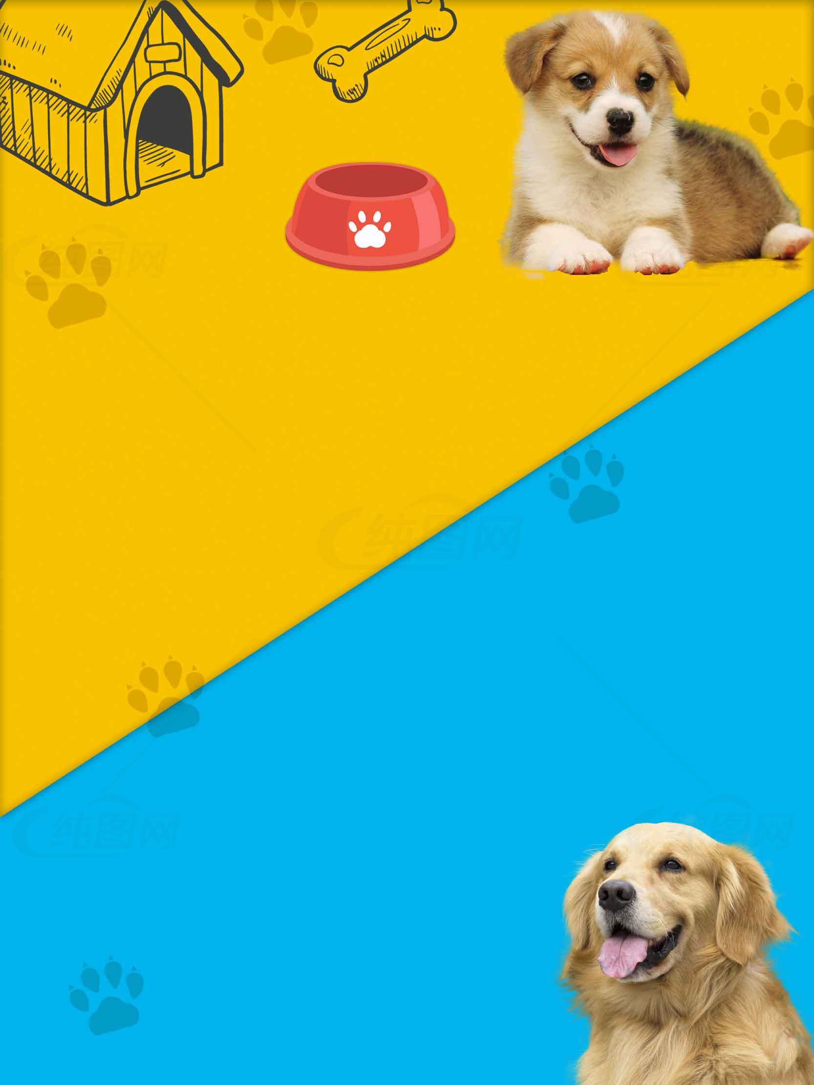 狗狗用品与宠物生活背景图片素材