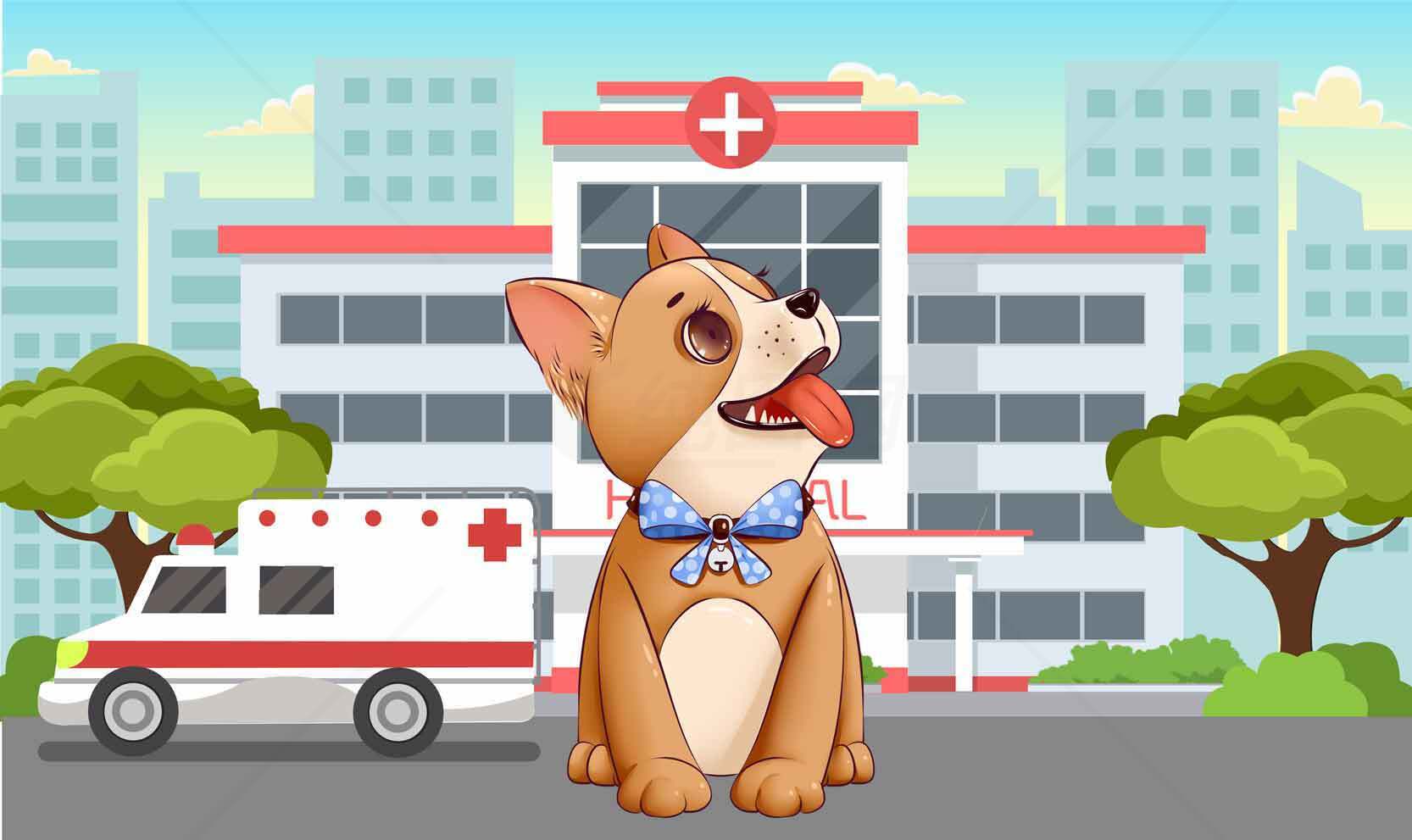 宠物医院卡通插画：可爱柯基与救护车场景素材