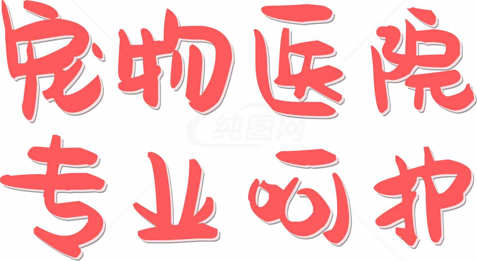 宠物医院专业护理服务素材