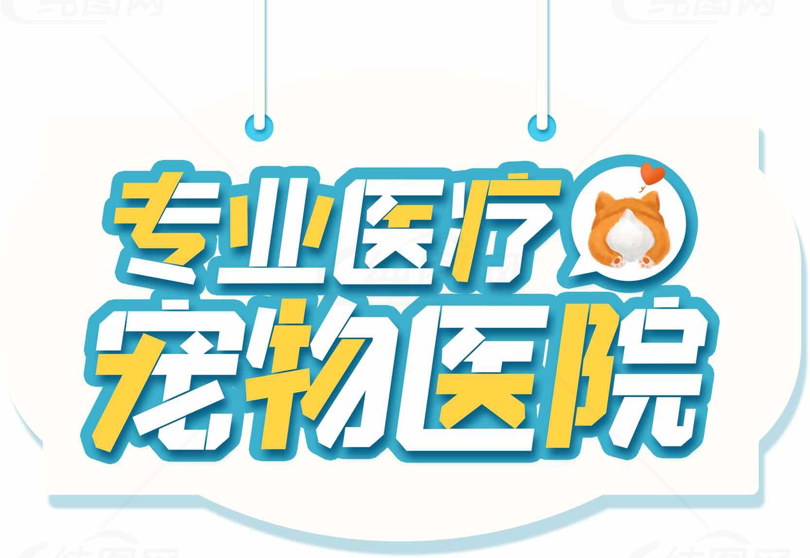 专业宠物医疗服务-宠物医院推荐素材