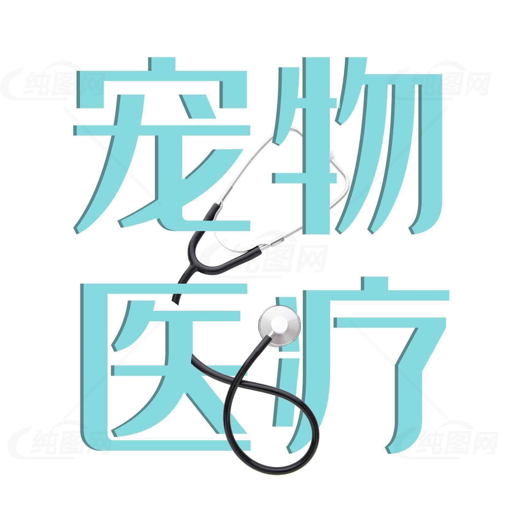 宠物健康护理全攻略素材