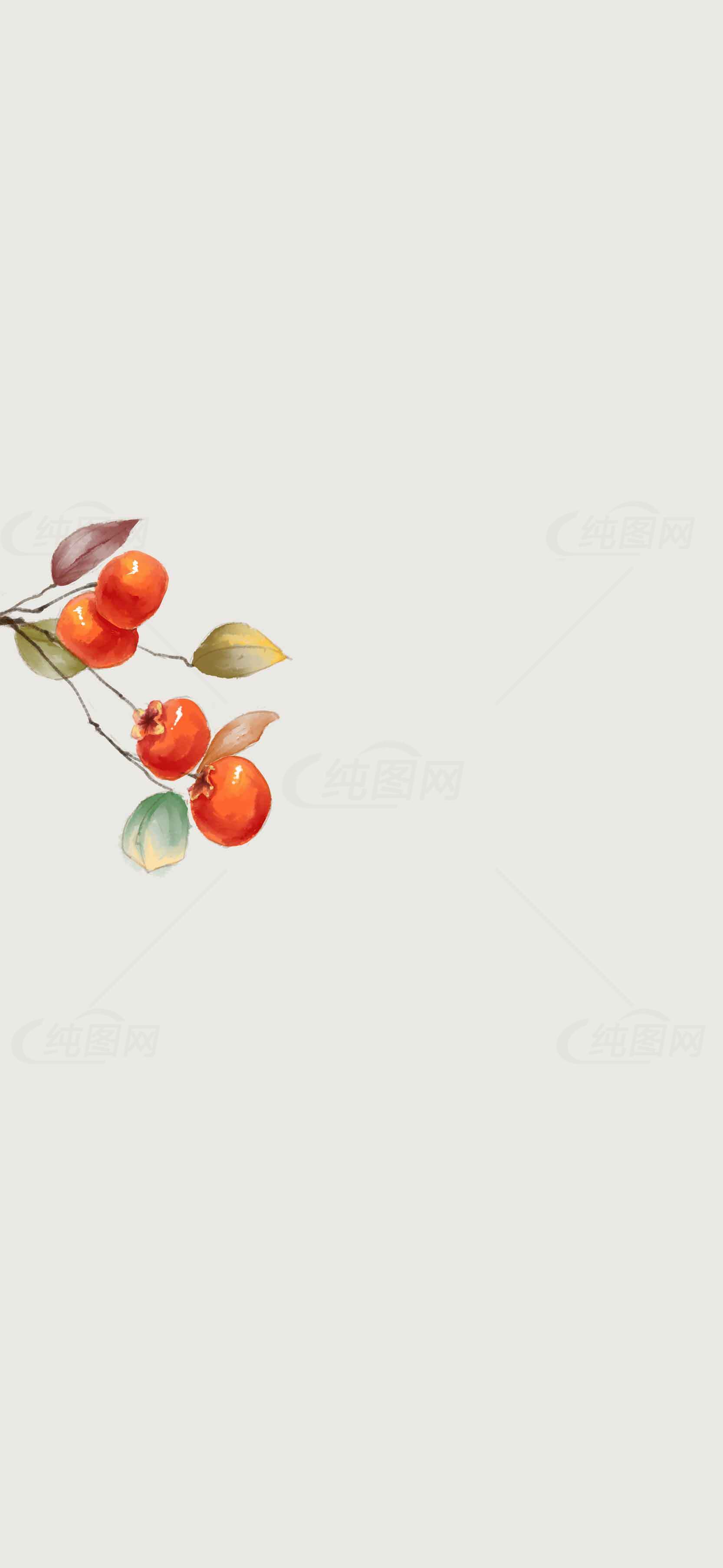简约柿子插画背景图片素材