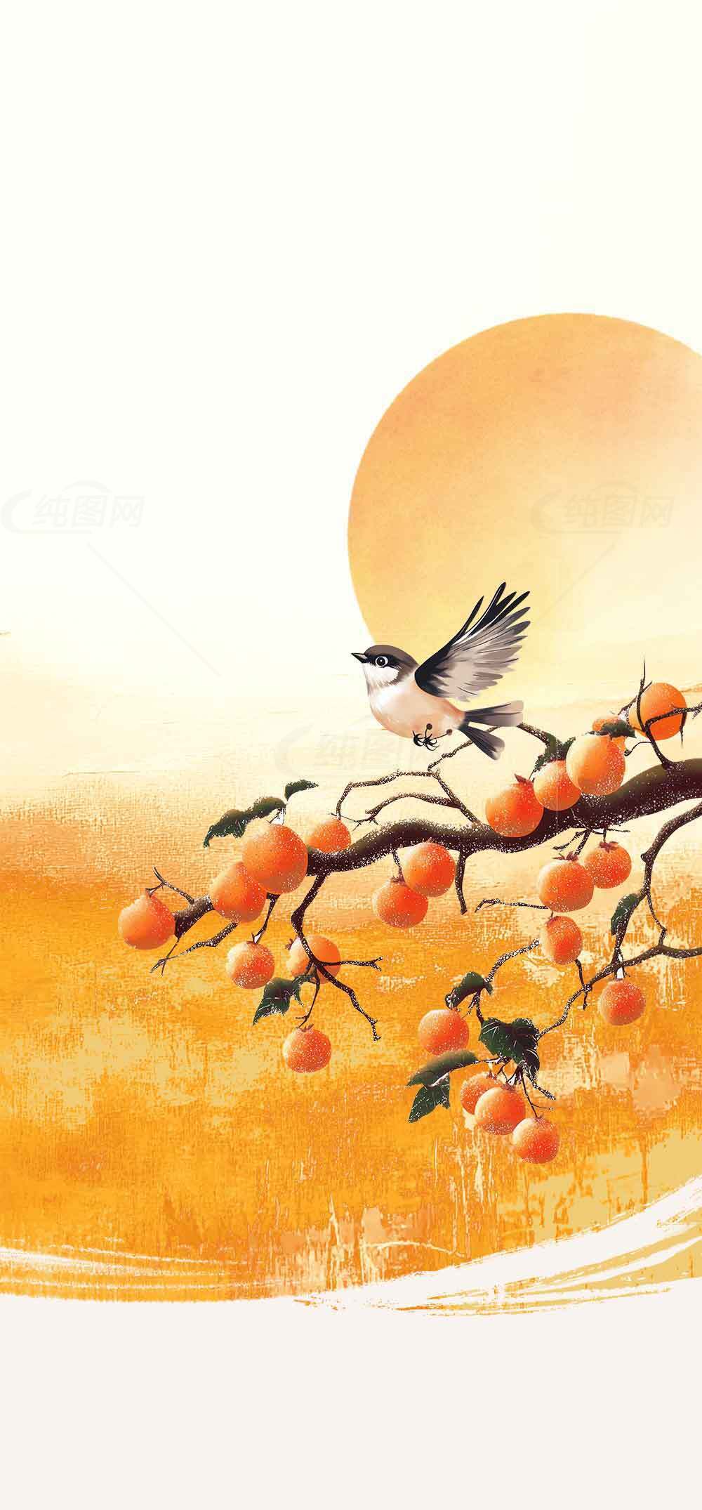 秋日柿子树与小鸟唯美插画背景图片素材