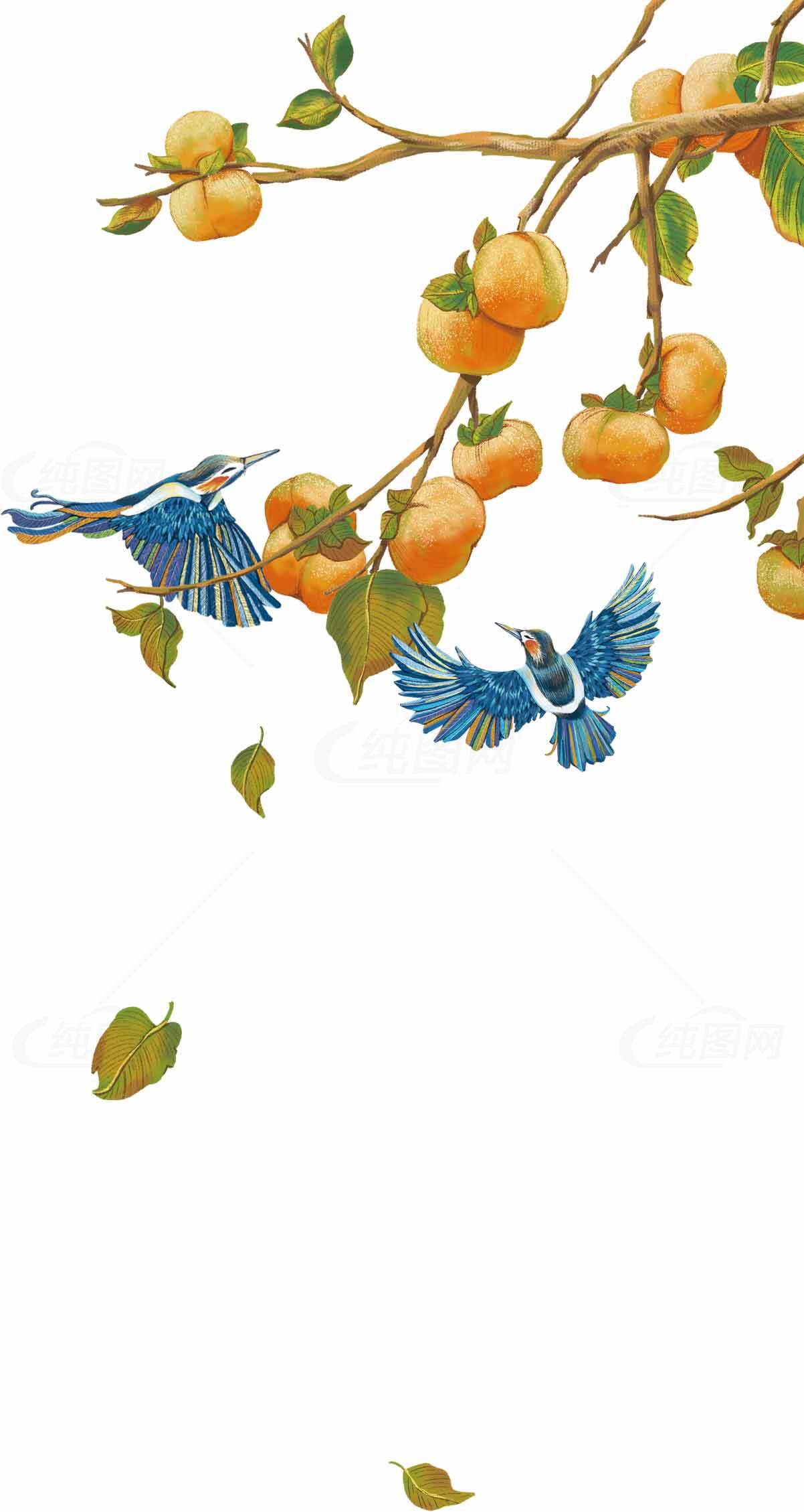 秋日柿子树与飞翔的蓝色小鸟插画素材